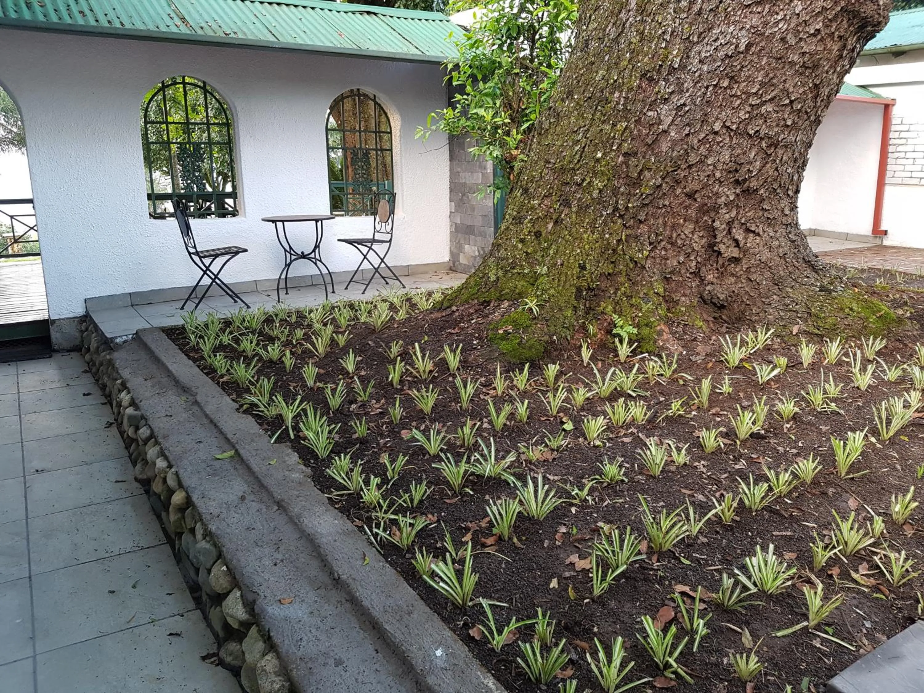Garden in Sherwood's Country House