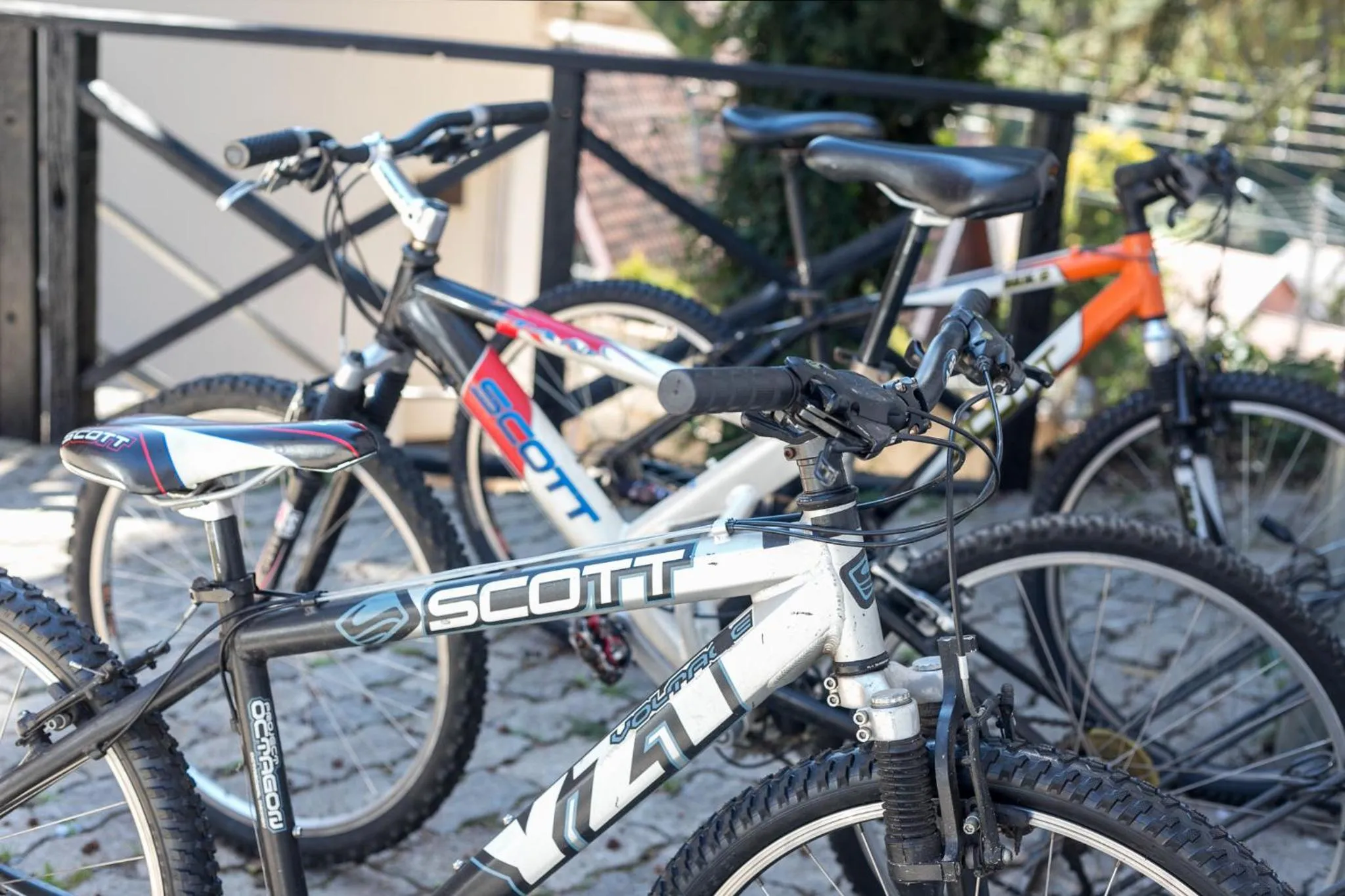 Activities in Hotel Savoy Excellence