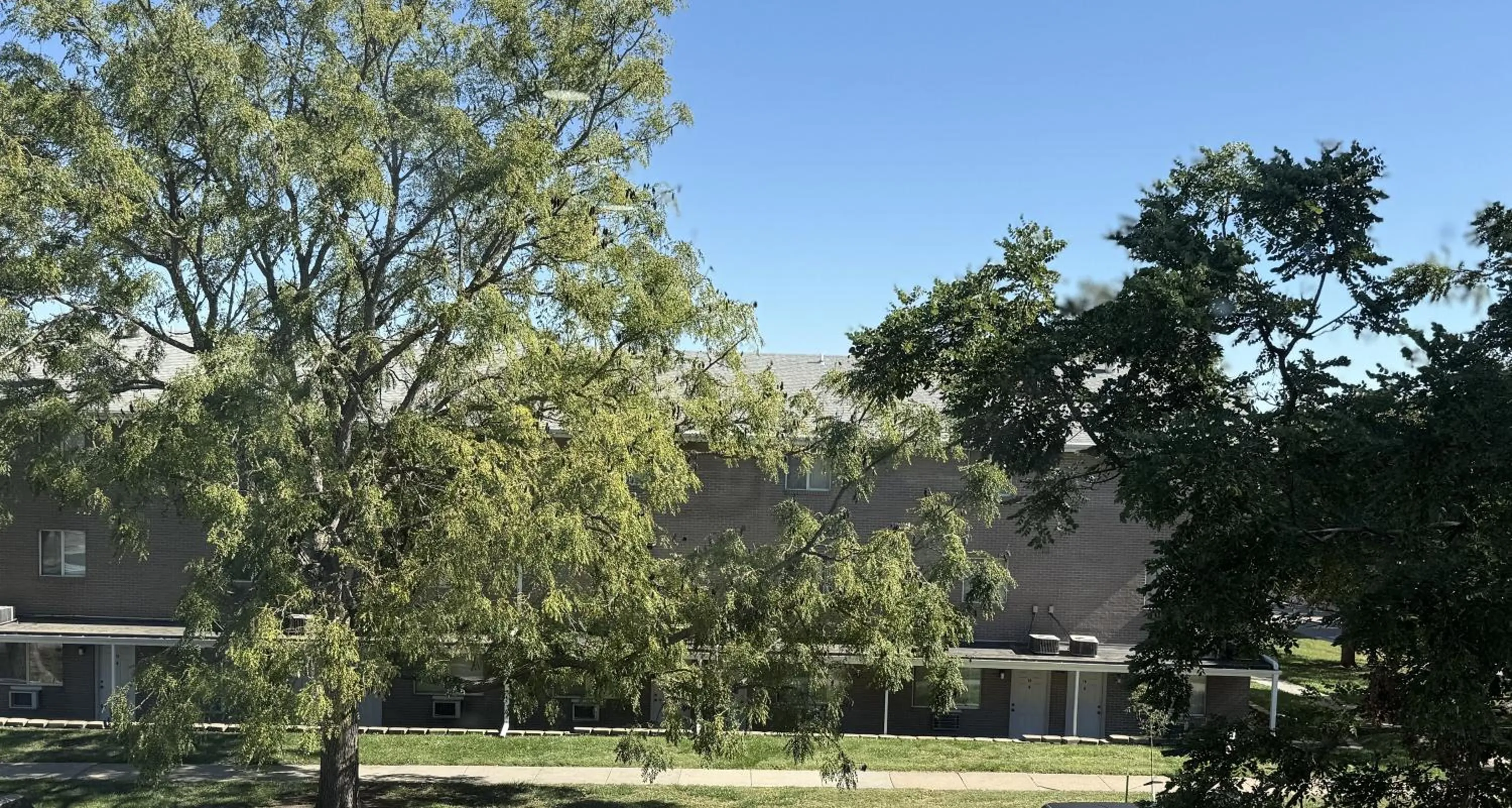 View (from property/room) in TownHouse Extended Stay Hotel Downtown