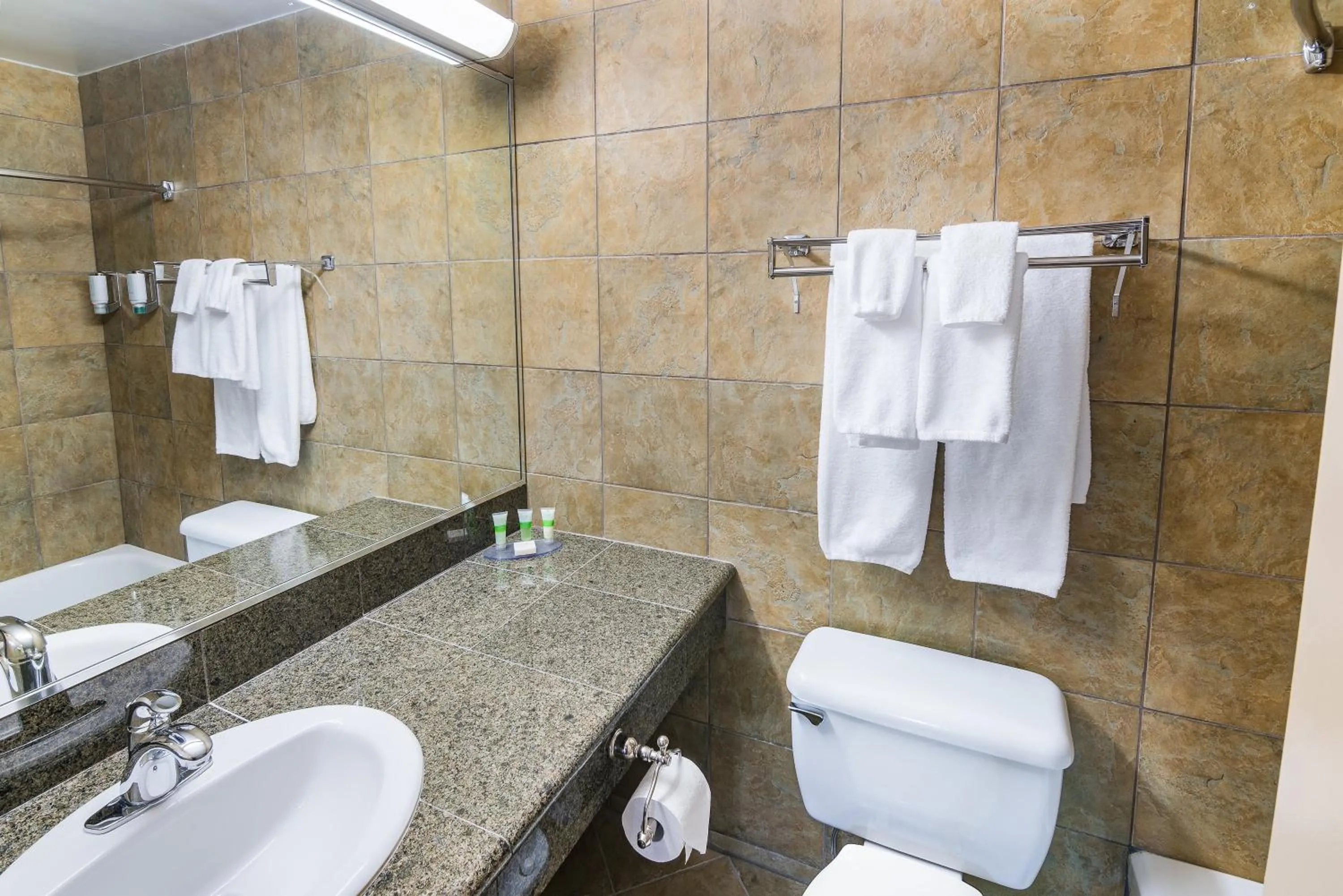 Toilet in Ramada by Wyndham Thunder Bay Airlane Hotel