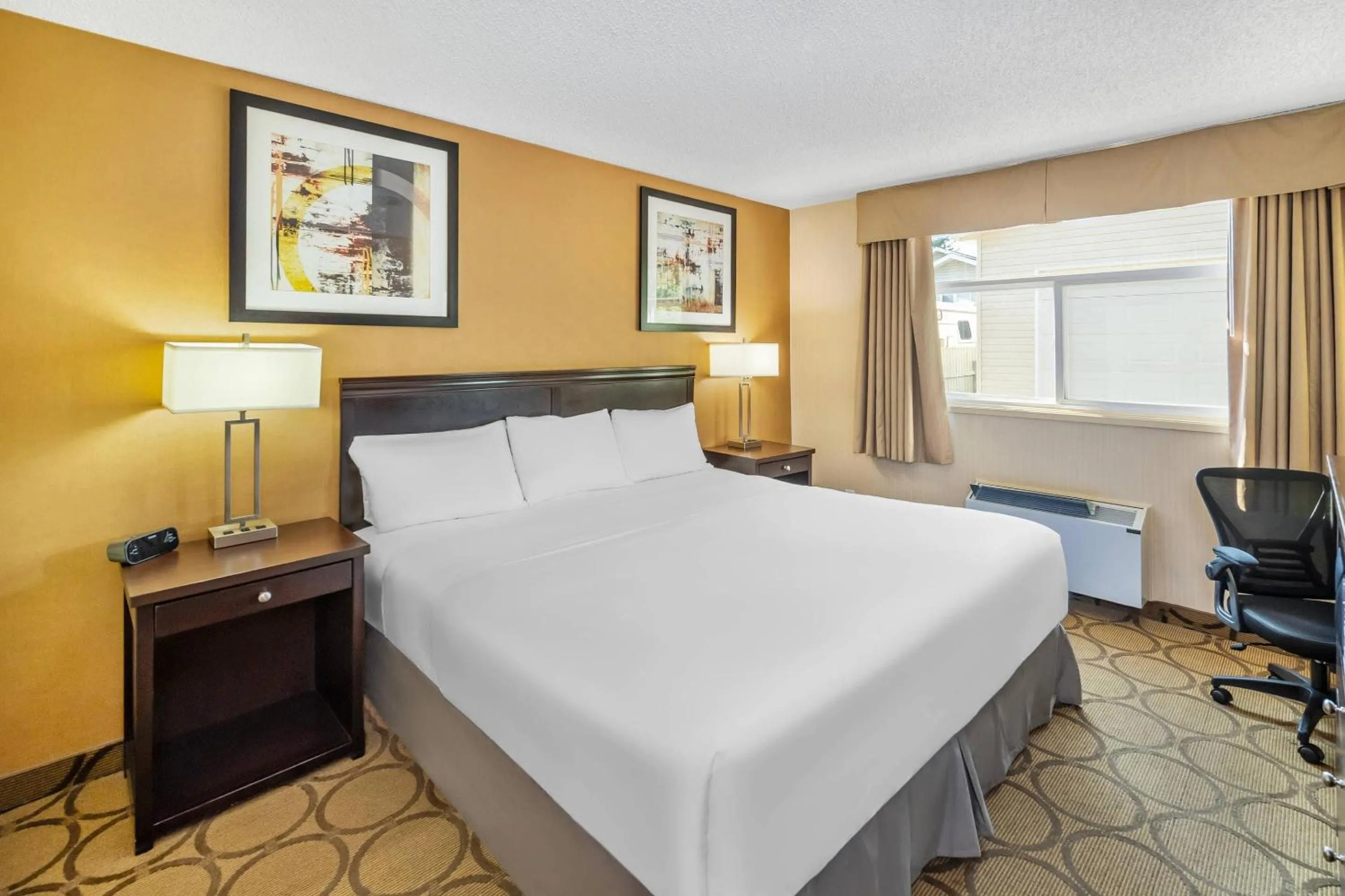 Bedroom, Bed in Econo Lodge