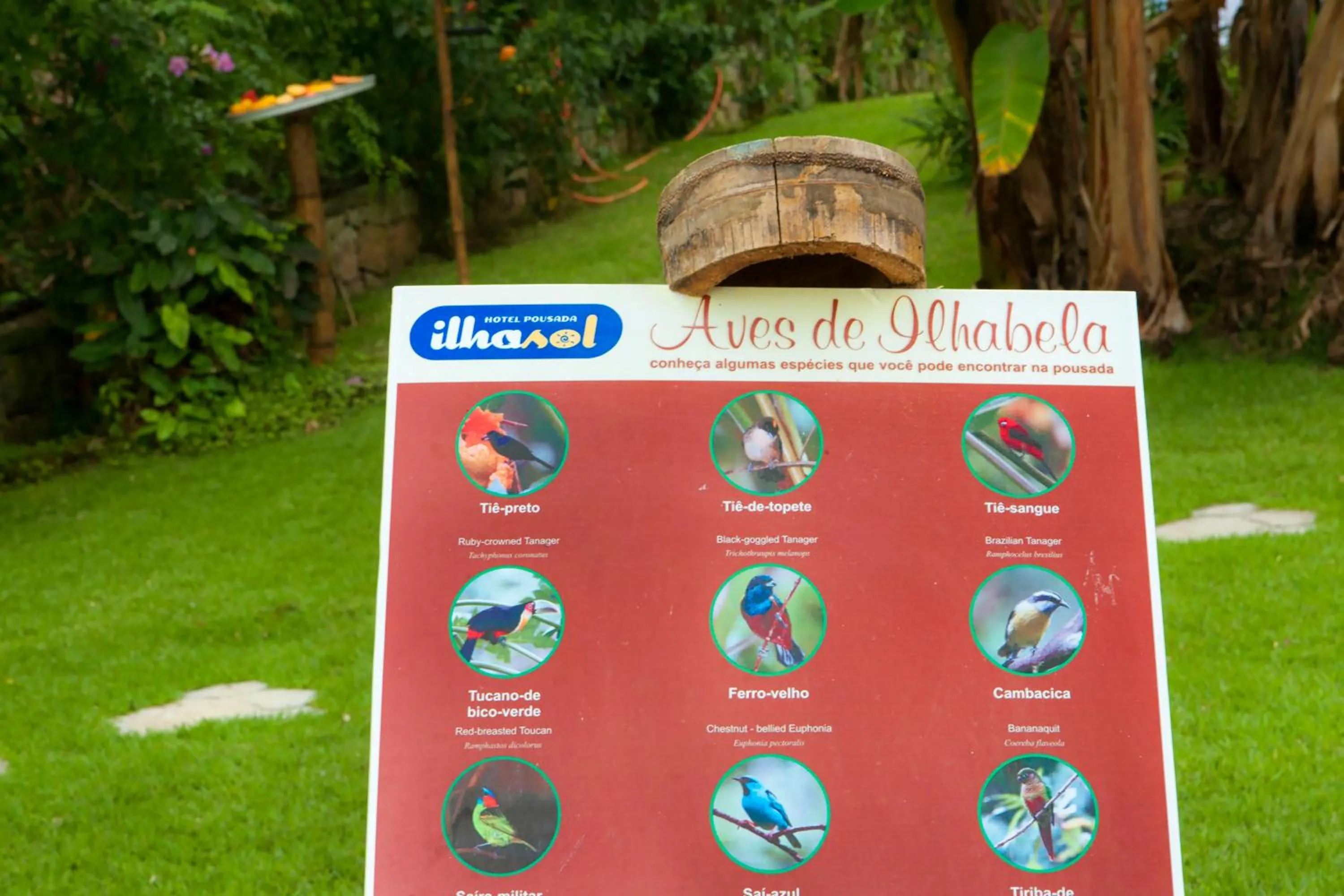 Landmark view in Hotel Ilhasol