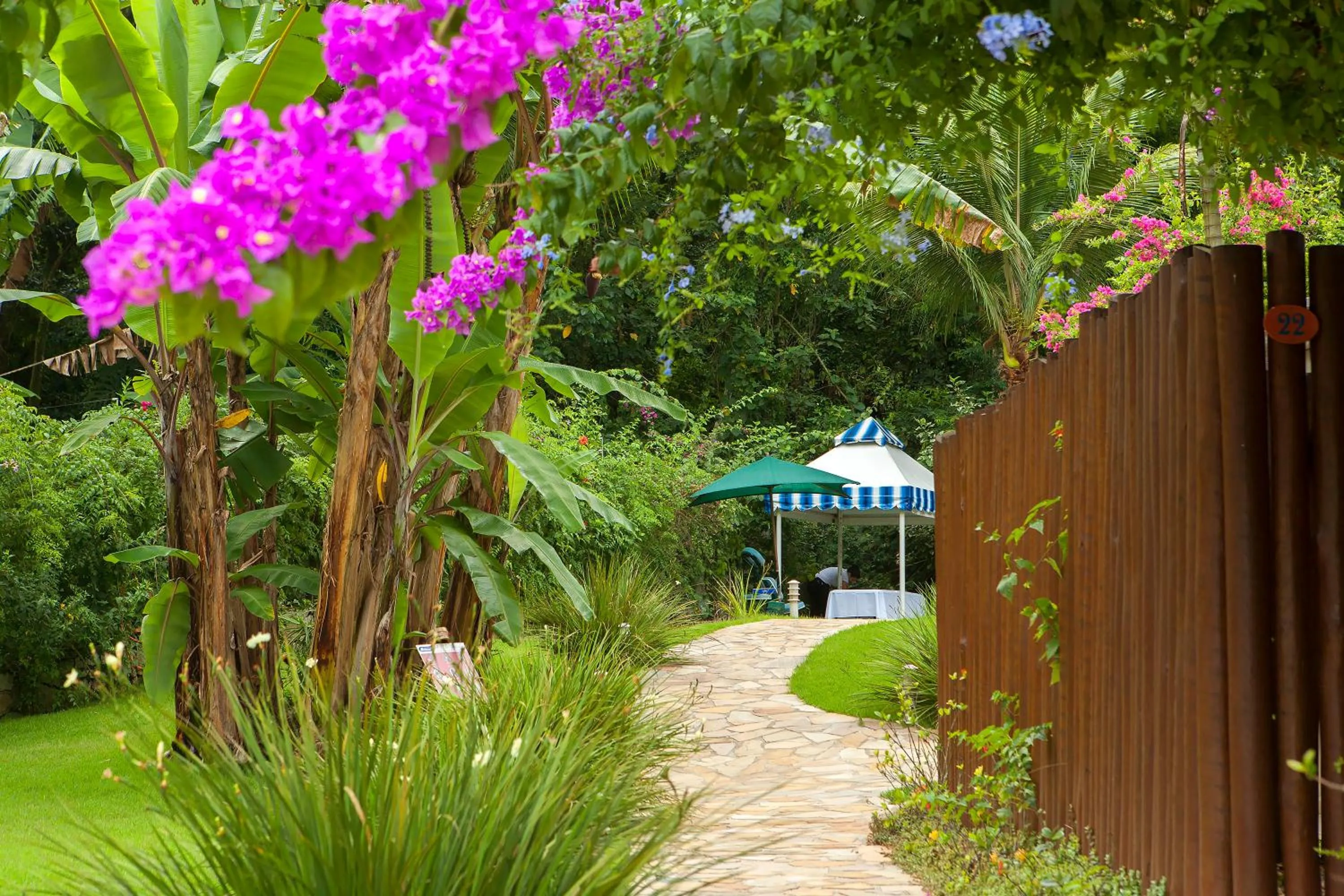 Garden view in Hotel Ilhasol