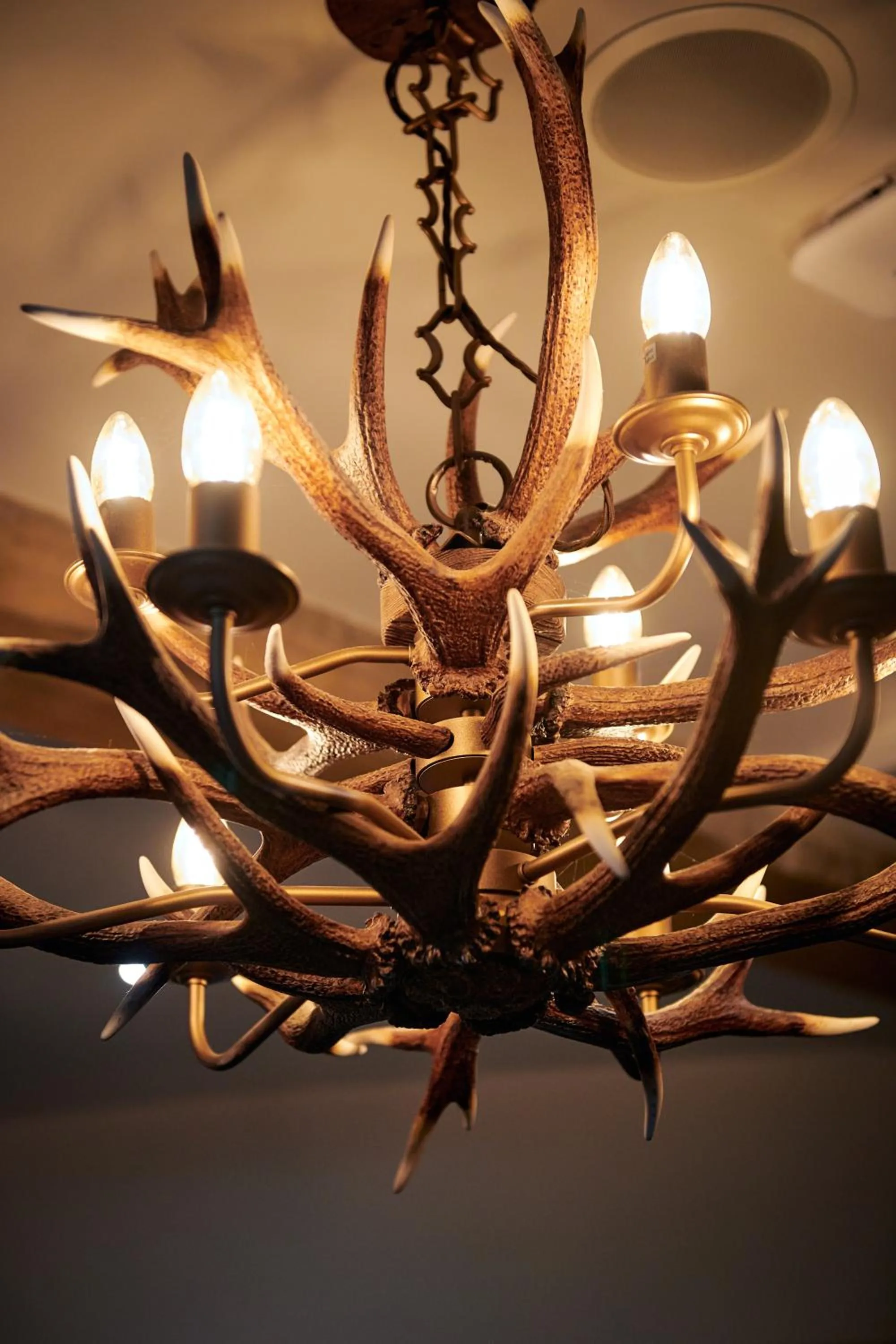 Decorative detail in Hare and Hounds - Newbury