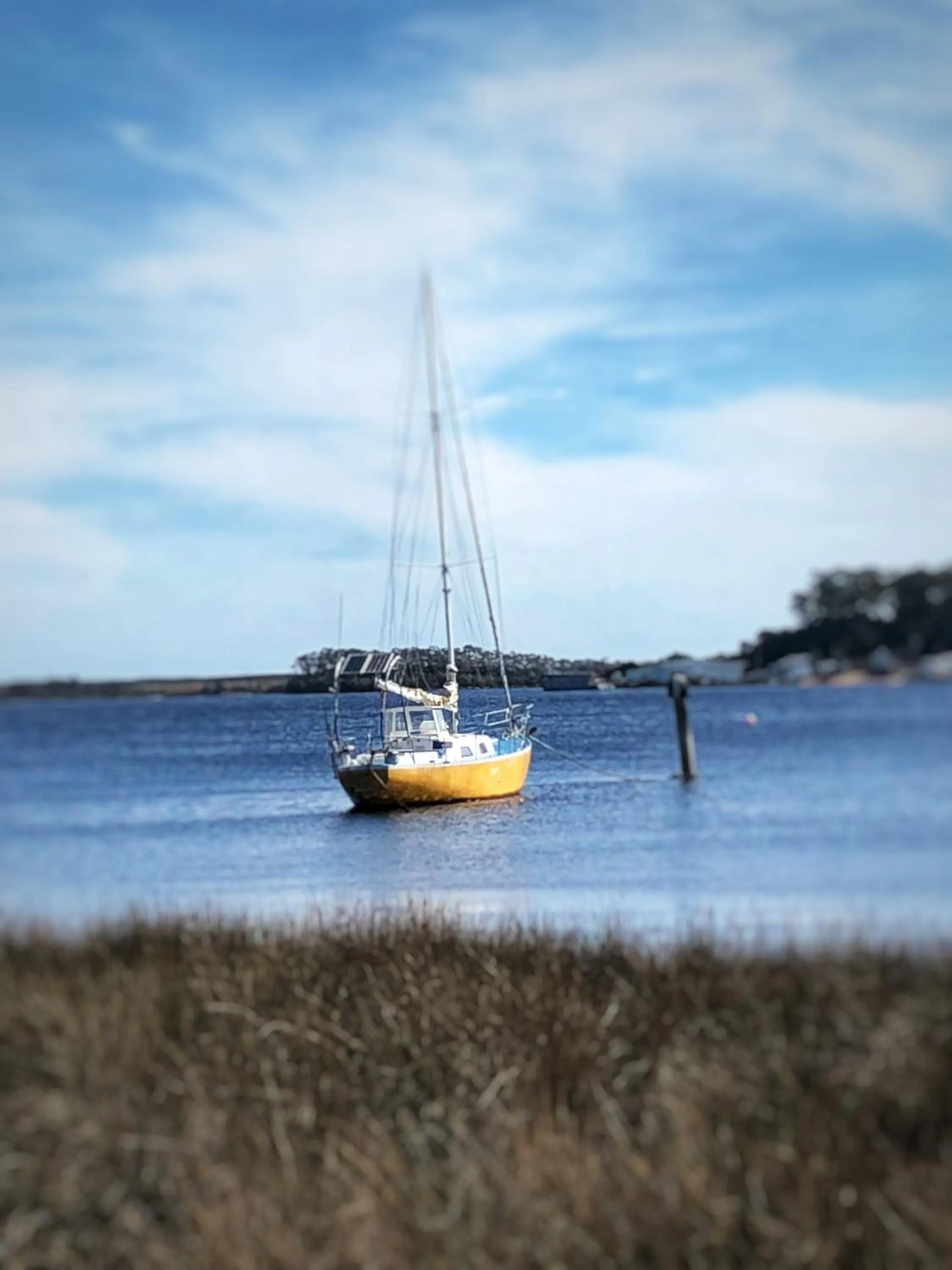 Natural landscape in Aloft Boutique Accommodation