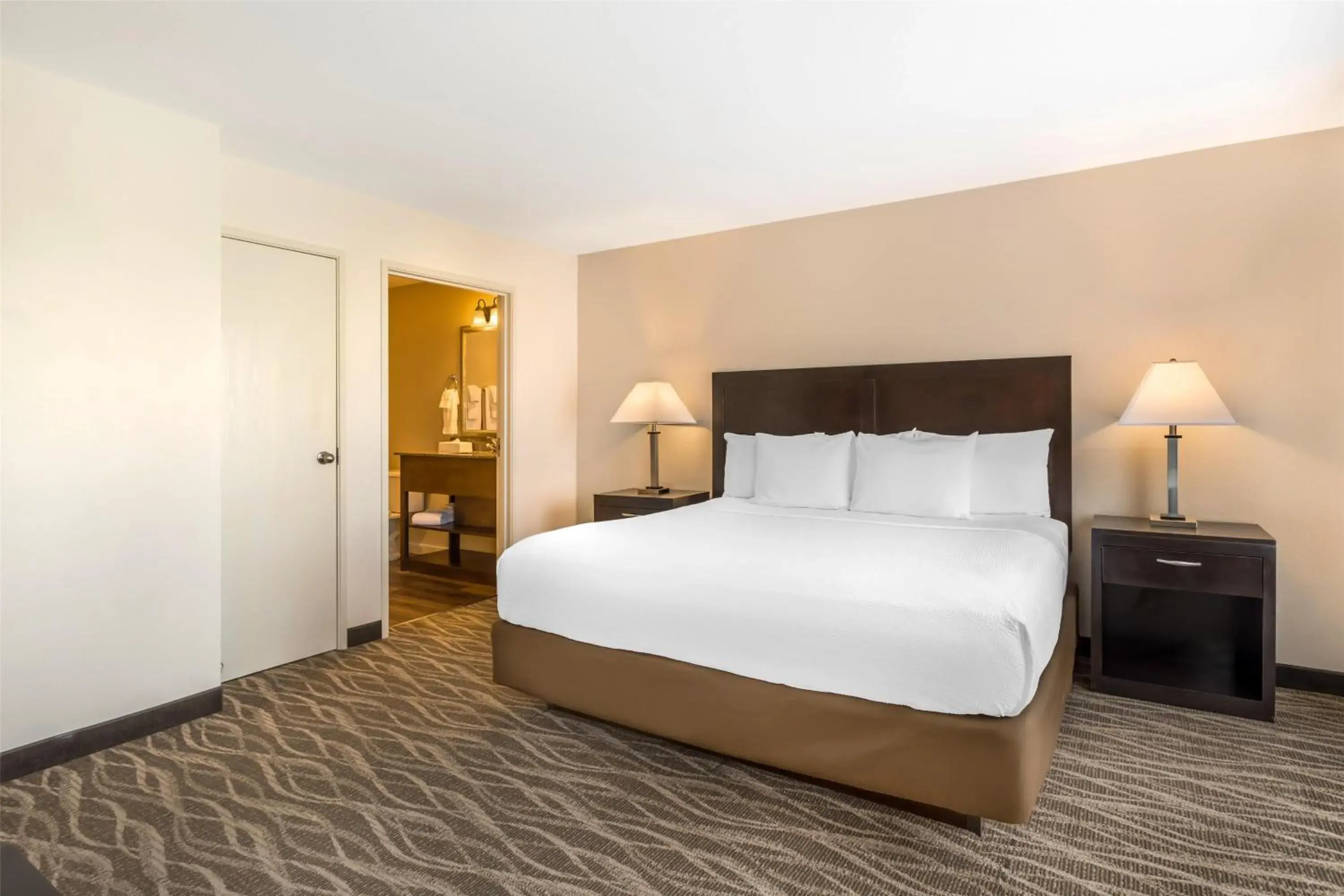 Standard King Room in Best Western Plus Valdosta Hotel & Suites Standard King Room in Best Western Plus Valdosta Hotel & Suites