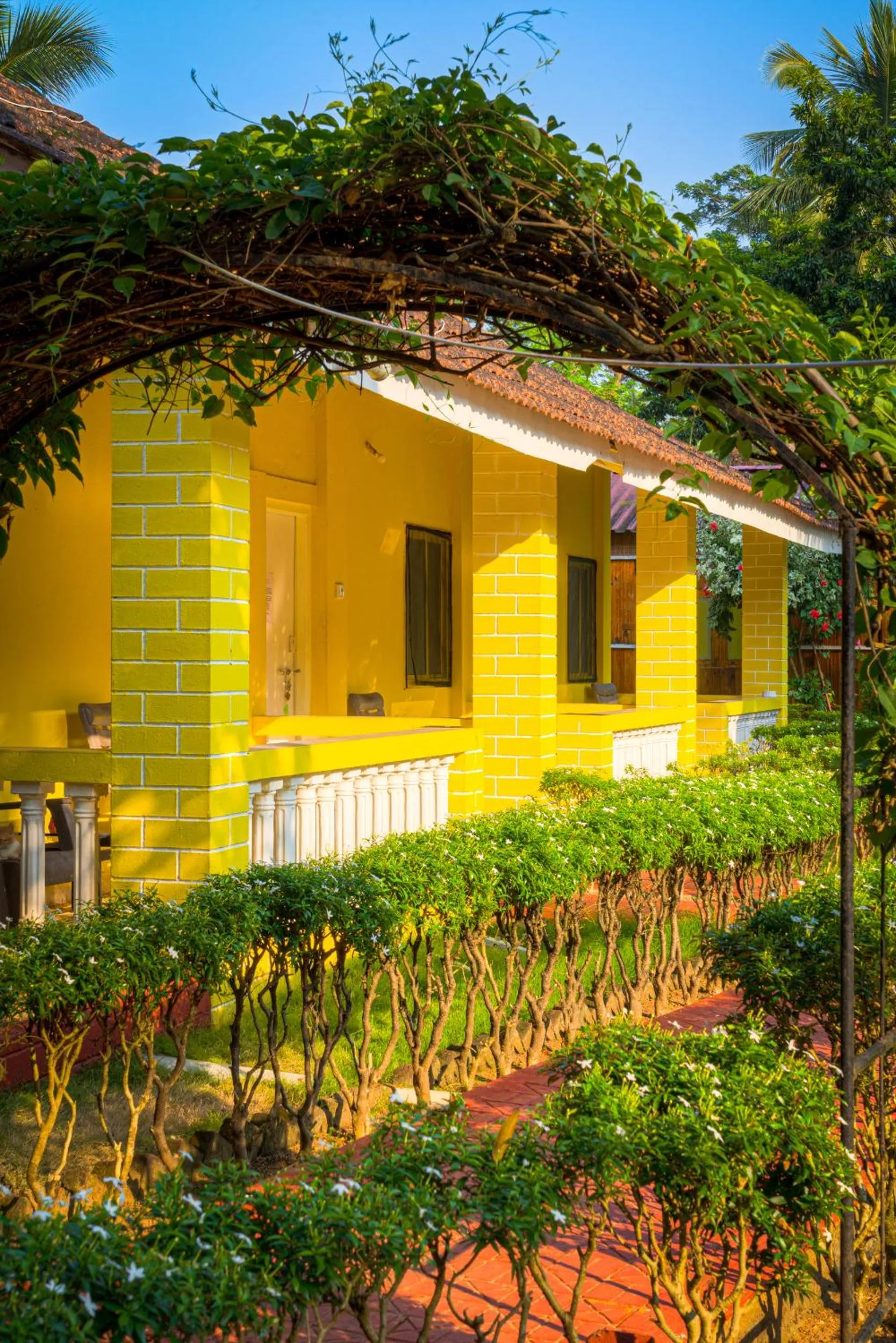 Garden in Palolem Beach Resort
