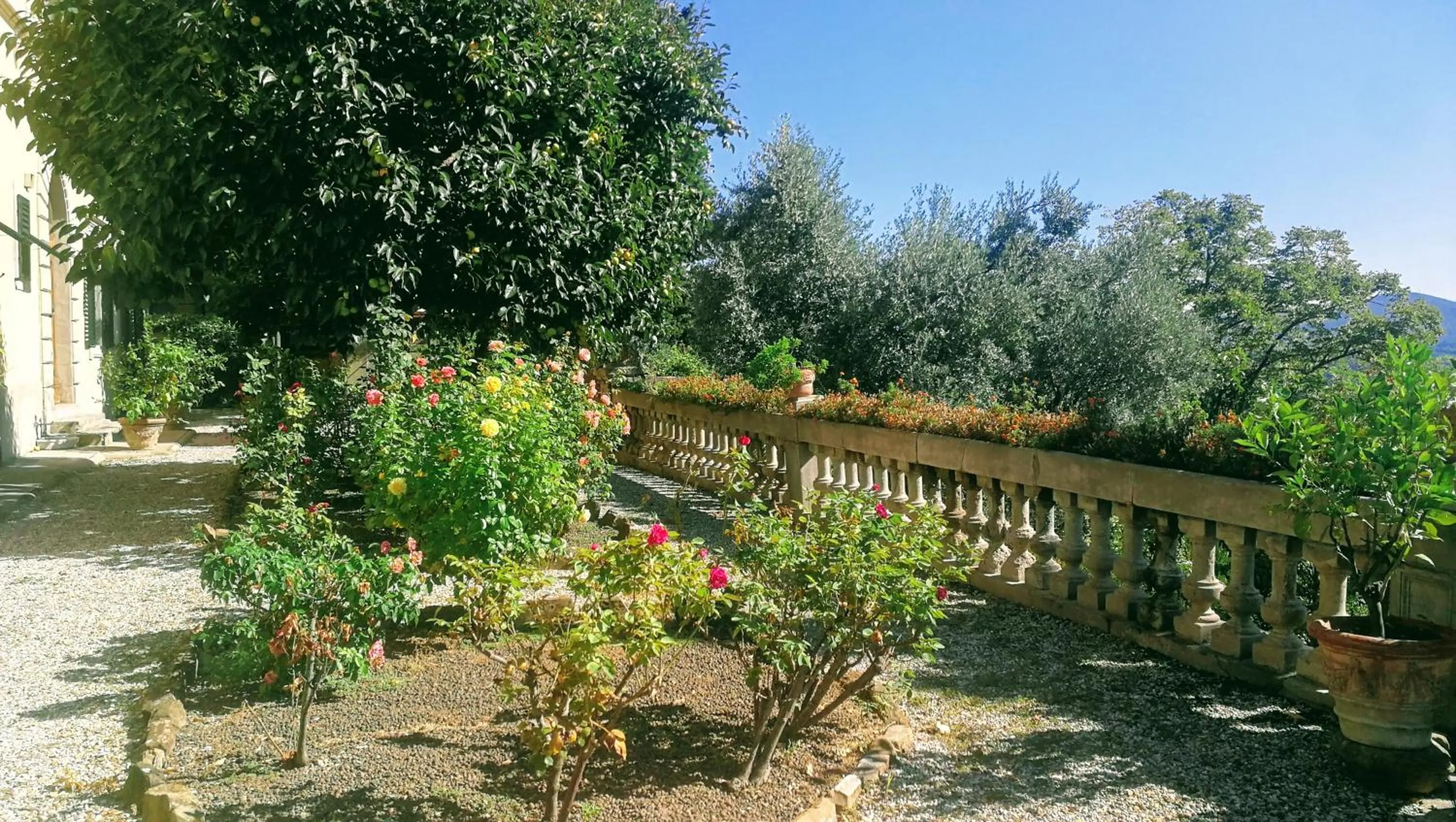 Day in Villa La Piccioncina Firenze