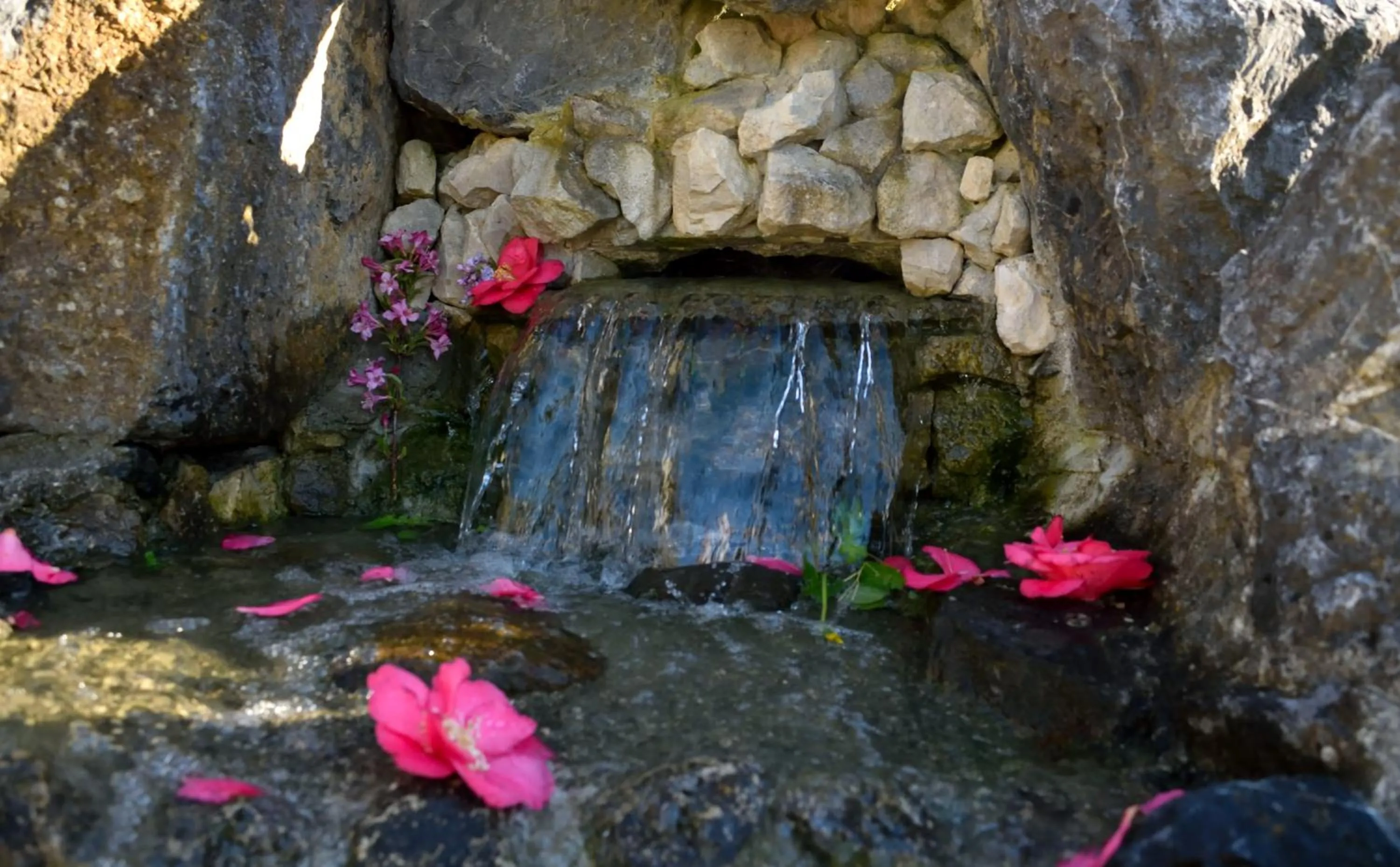 Garden in La Cascadeta