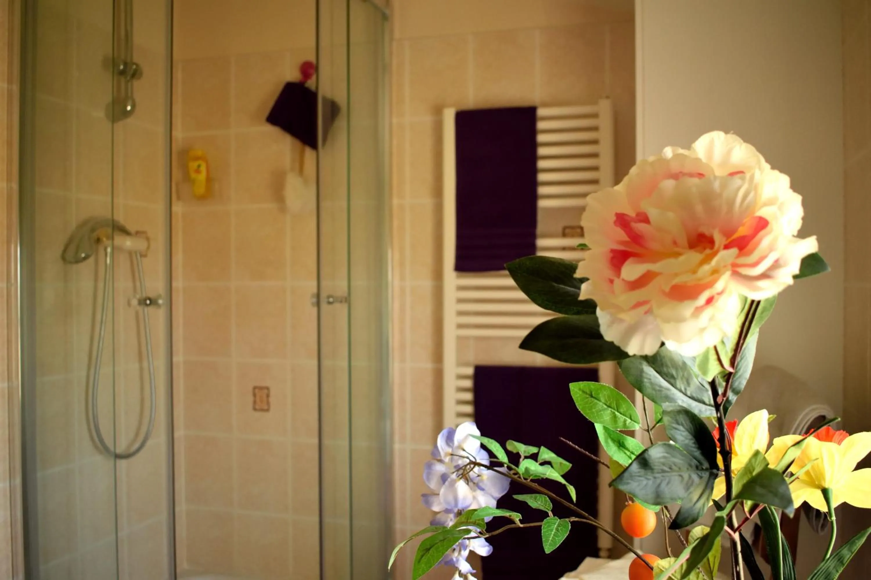 Bathroom in La Cascadeta