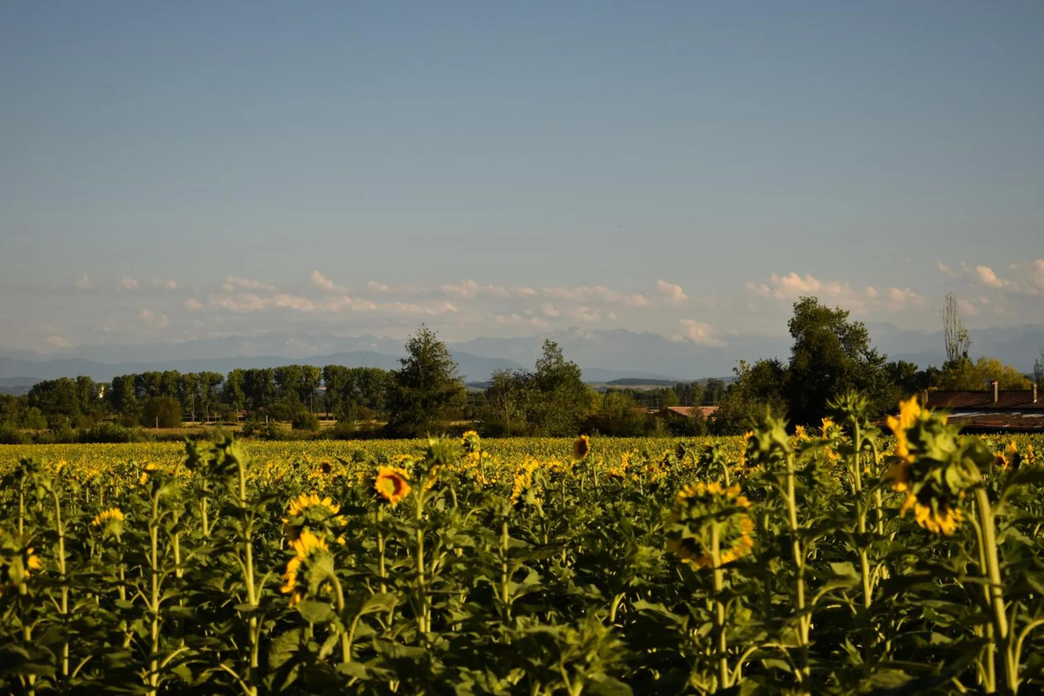 Other in La Cascadeta