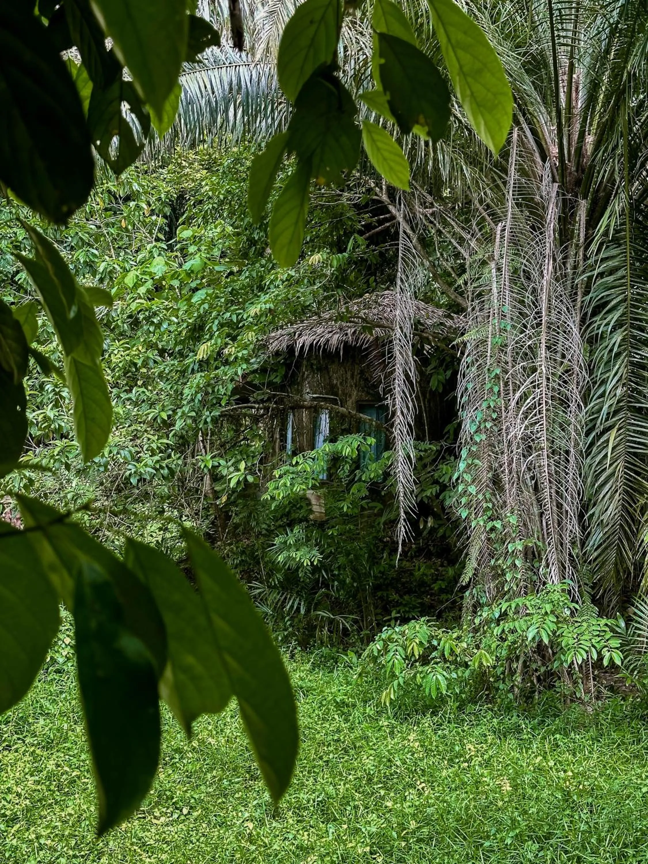 Khao Sok Paradise Resort