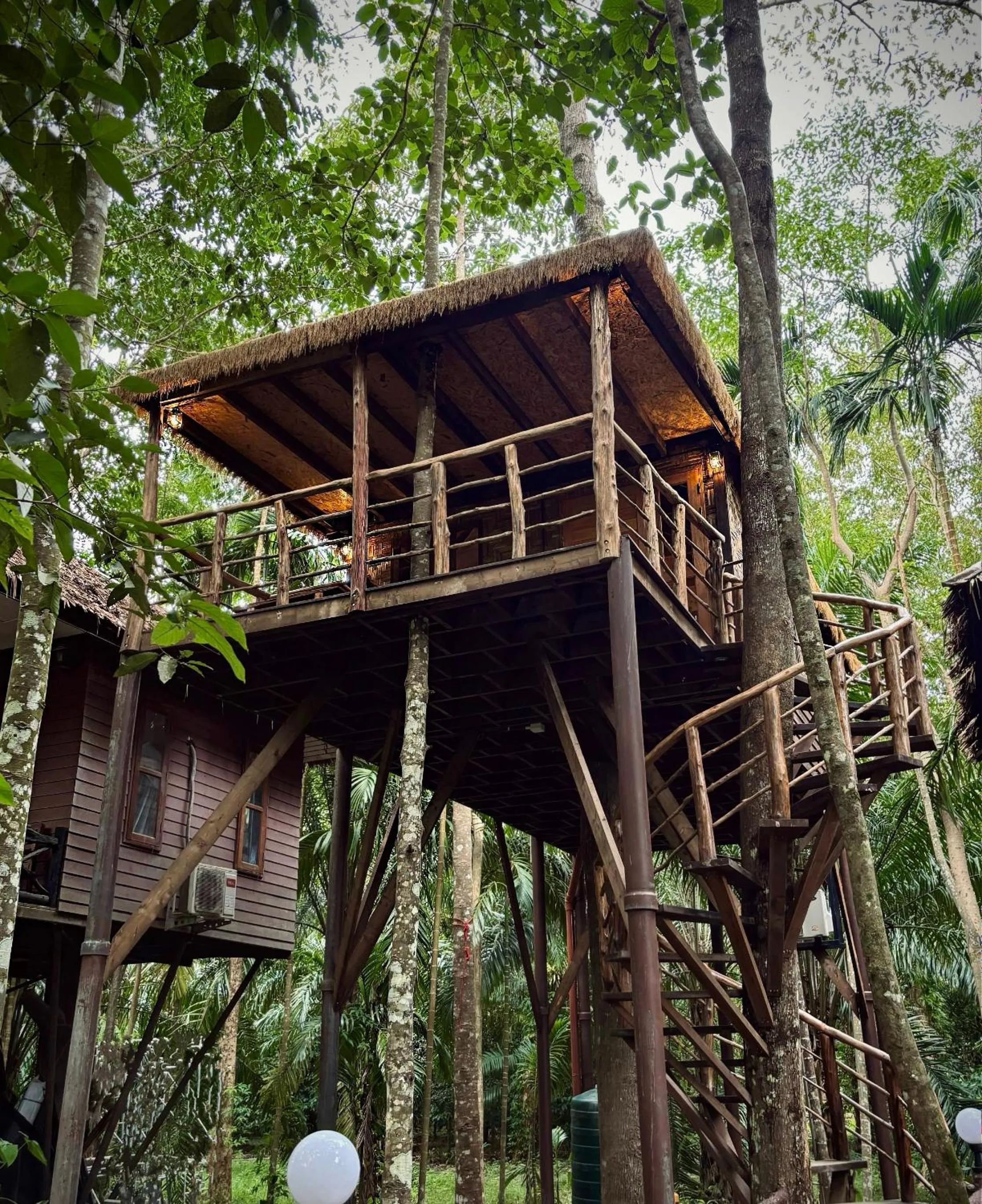 Spring in Khao Sok Paradise Resort