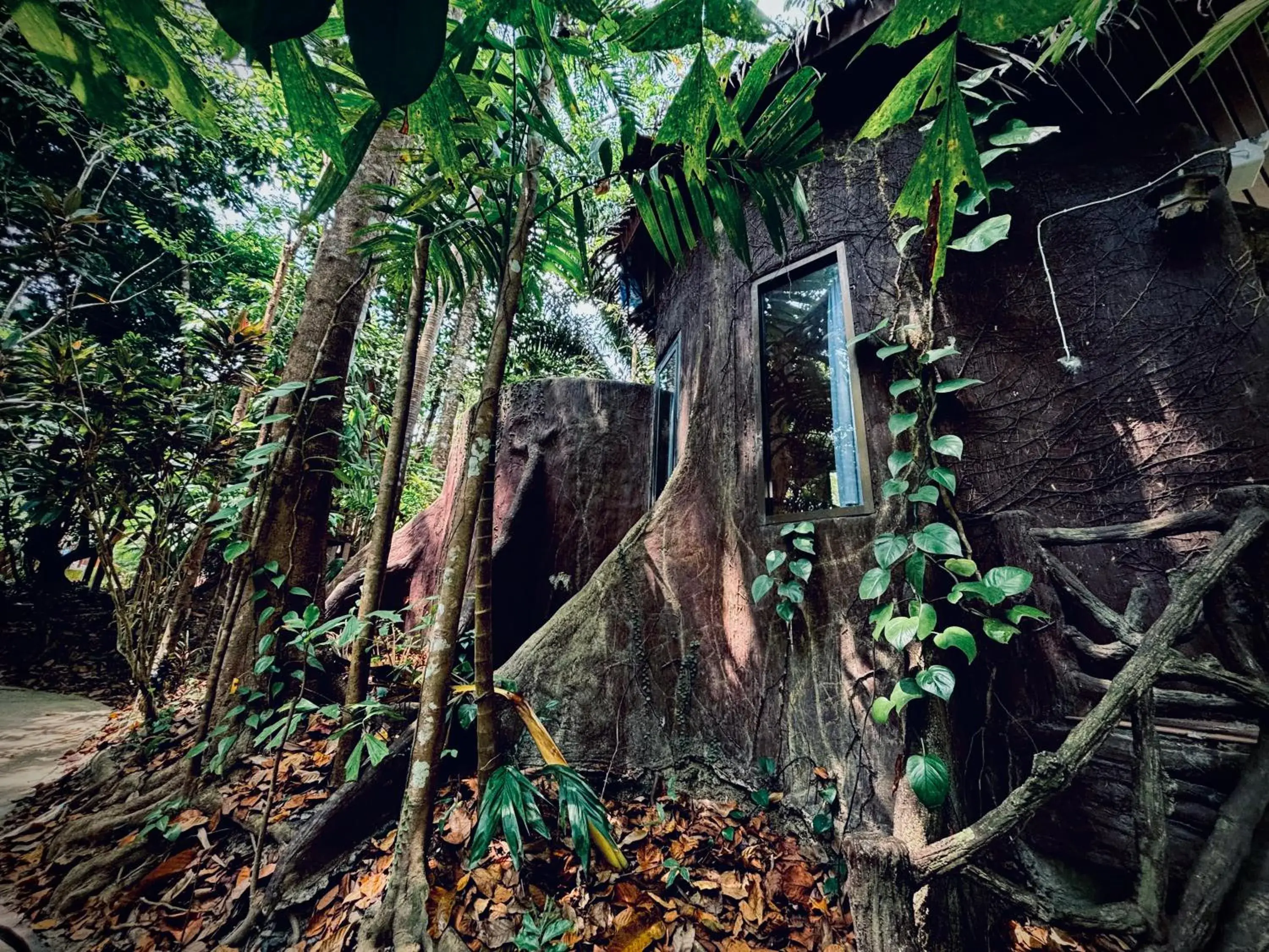 Bungalow with Garden View in Khao Sok Paradise Resort Bungalow with Garden View in Khao Sok Paradise Resort