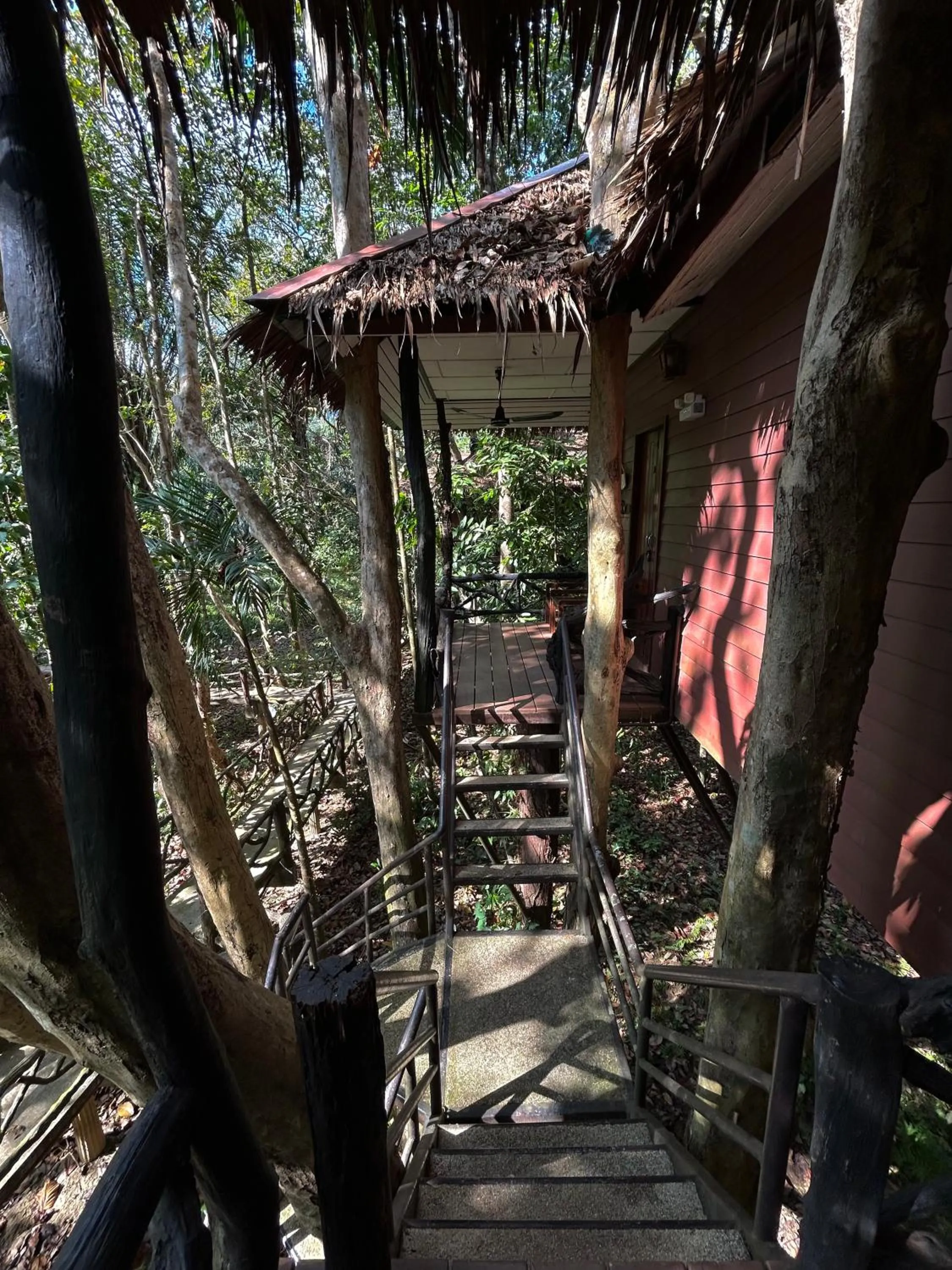 Property building in Khao Sok Paradise Resort