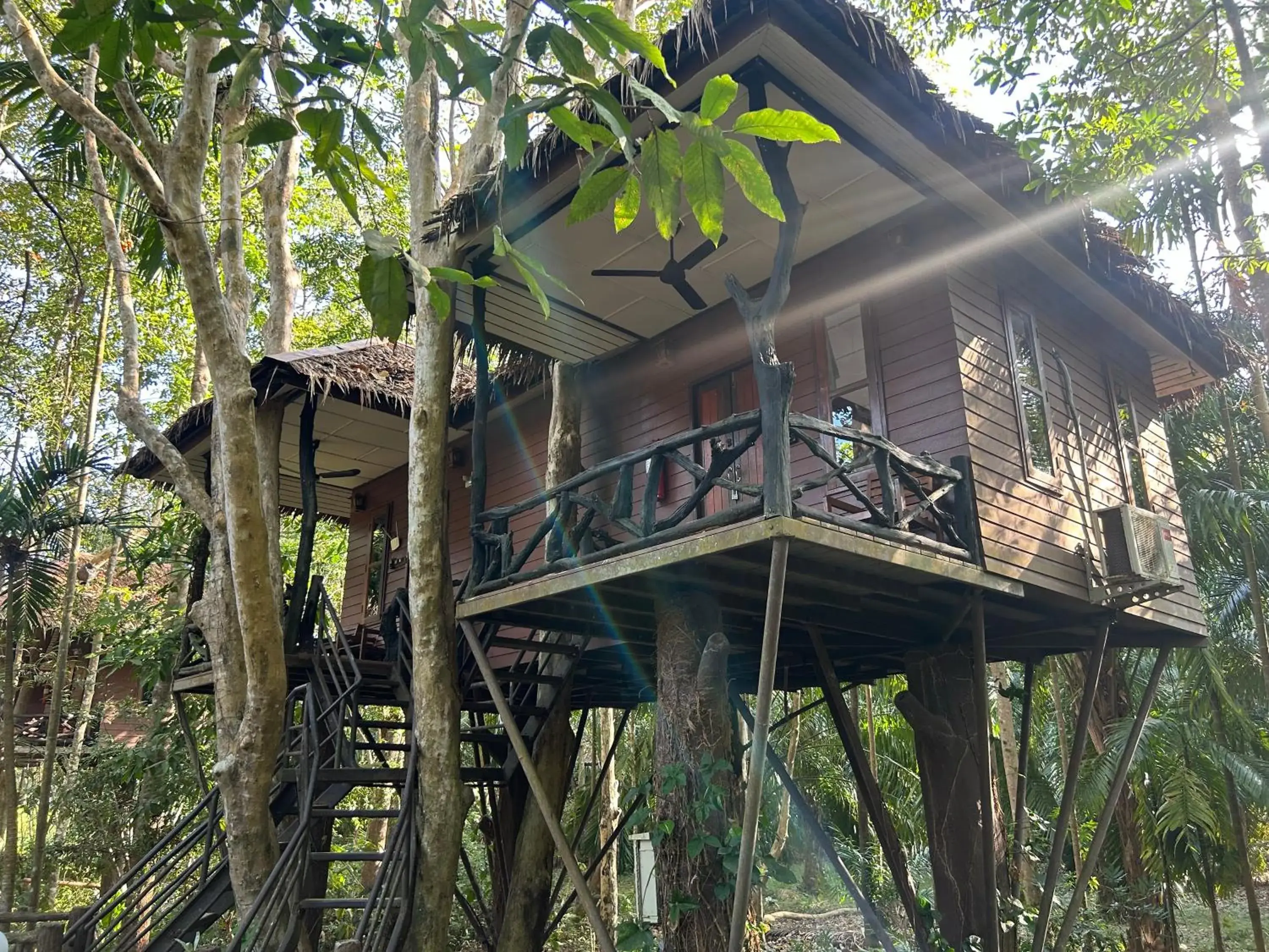 Family Bungalow in Khao Sok Paradise Resort Family Bungalow in Khao Sok Paradise Resort