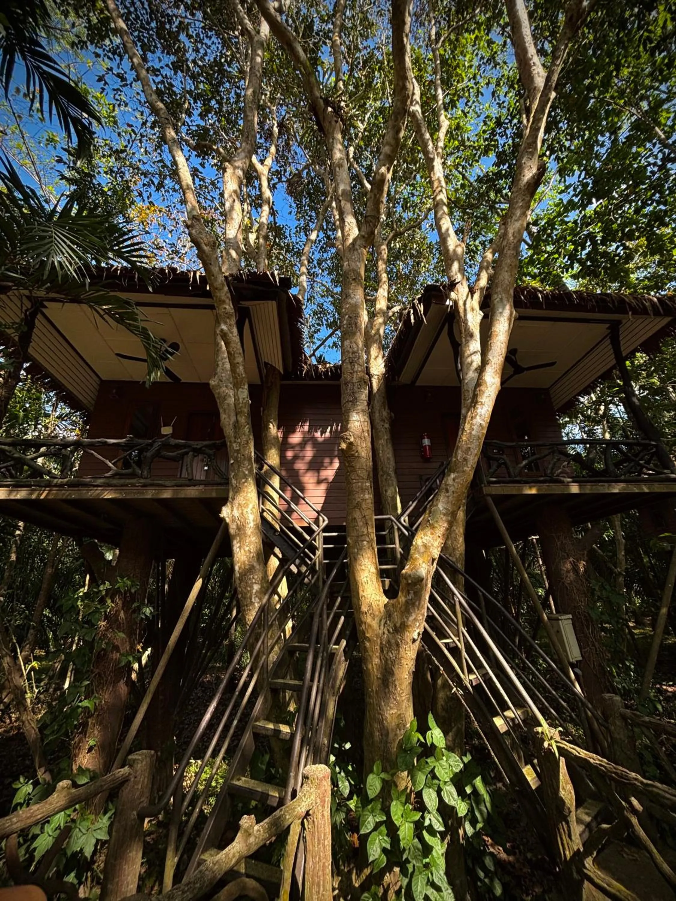 Property building in Khao Sok Paradise Resort