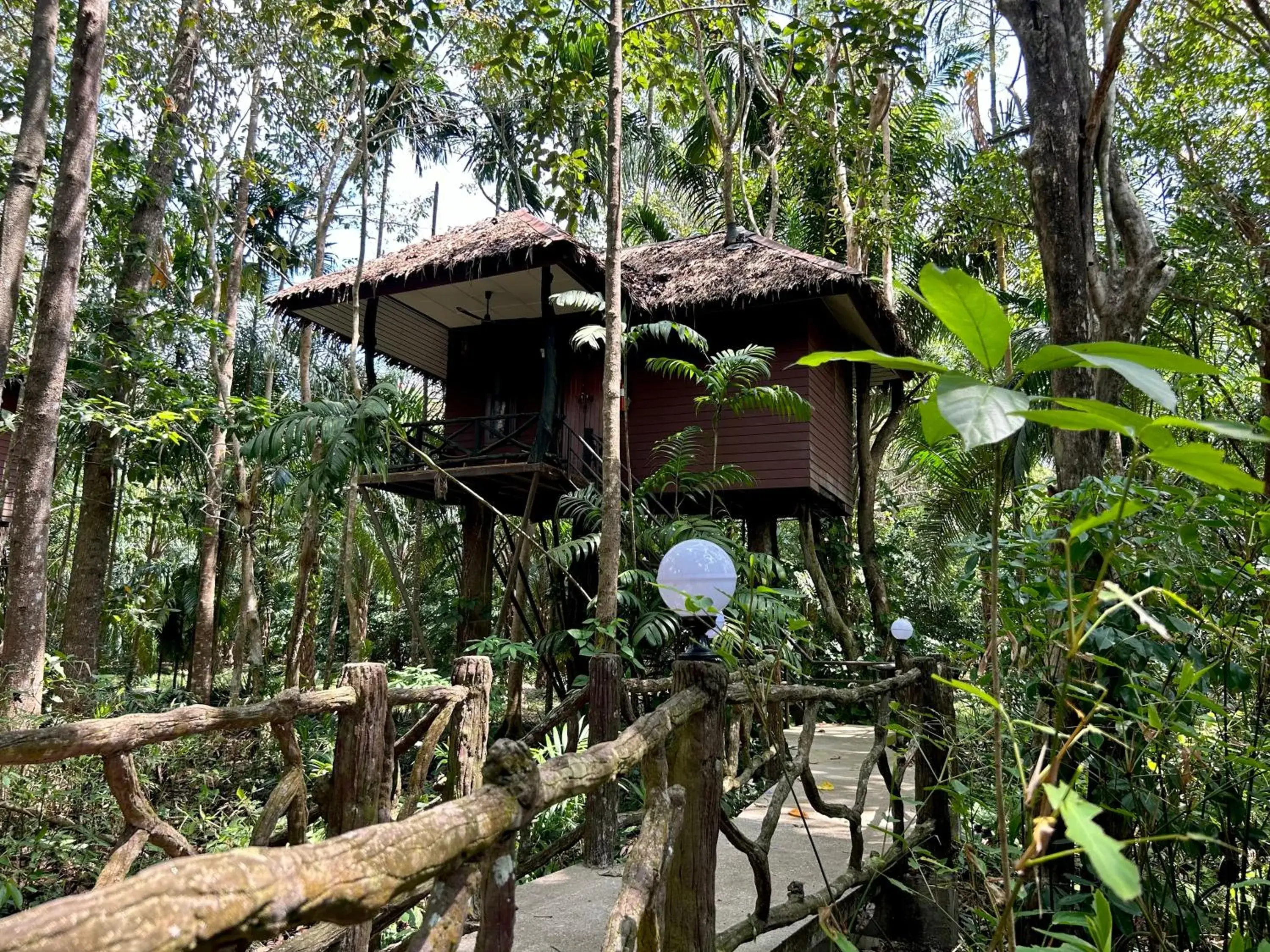 Standard Bungalow in Khao Sok Paradise Resort Standard Bungalow in Khao Sok Paradise Resort