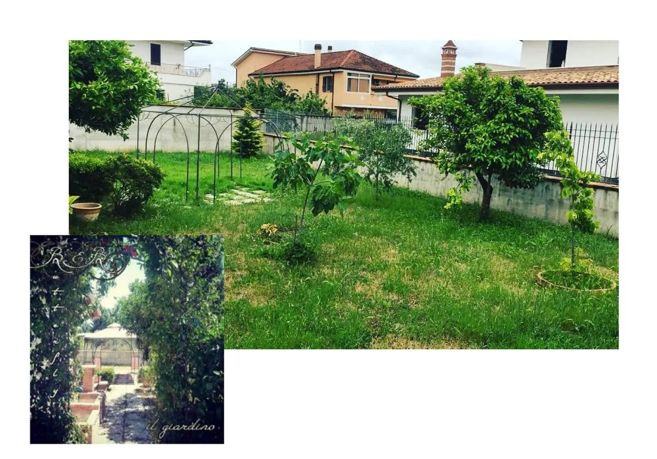 Garden in Butterfly B&B