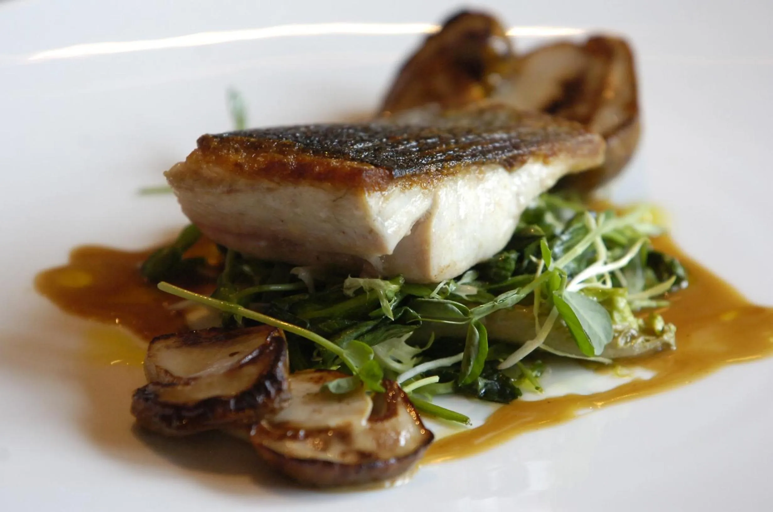 The Saddleworth Hotel