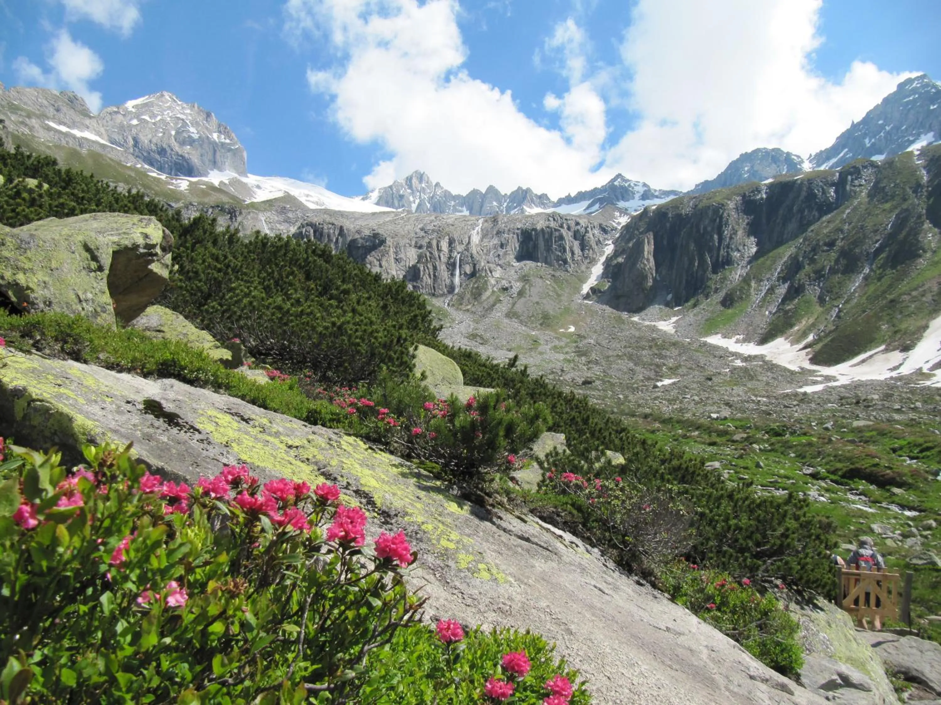 Spring in Hotel Englhof