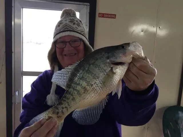 Fishing in Point View Resort