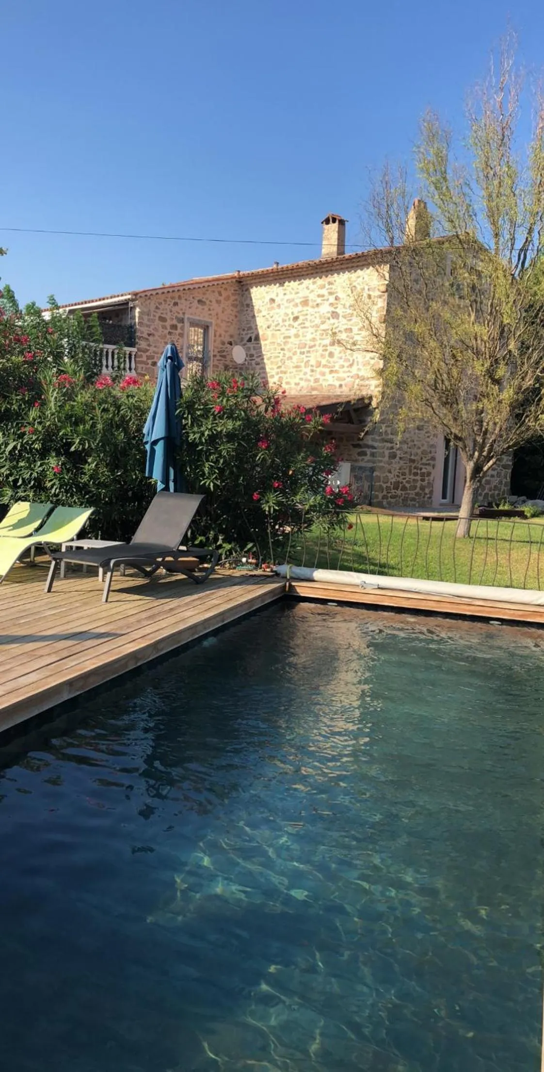 Garden view in La Bastide de l'Olivier