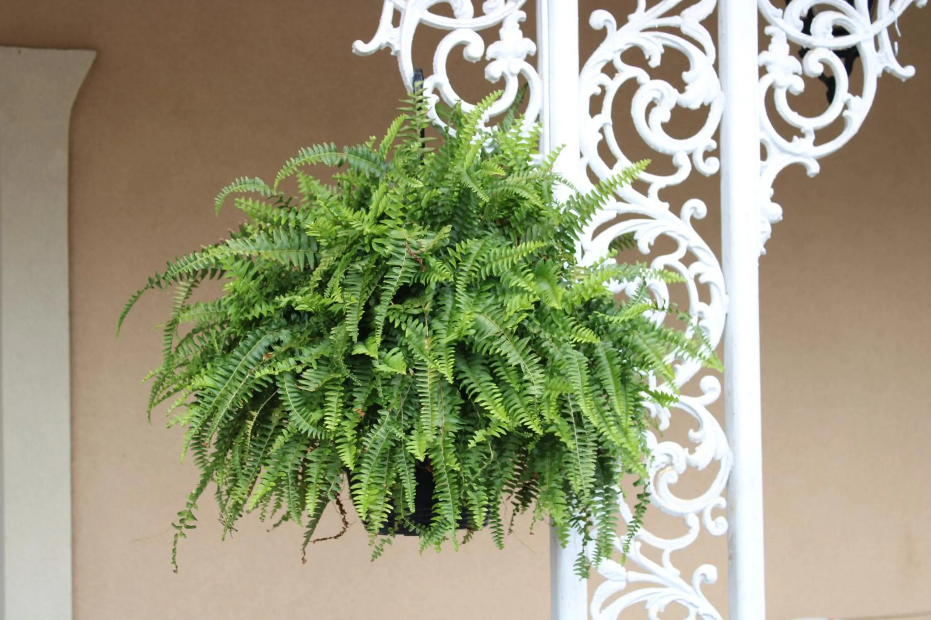 Decorative detail in River Road Motel