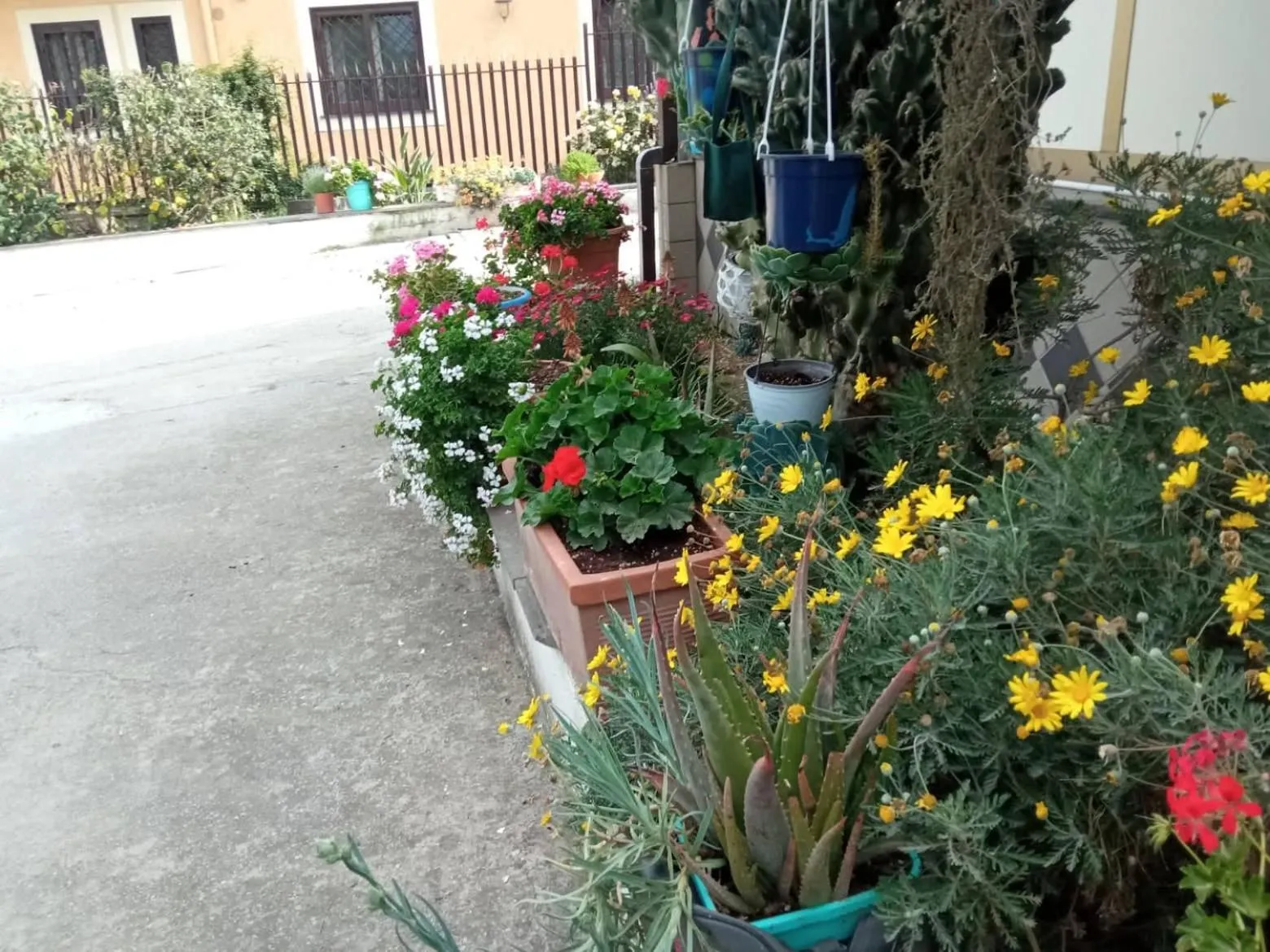 Lemontree House Bacoli