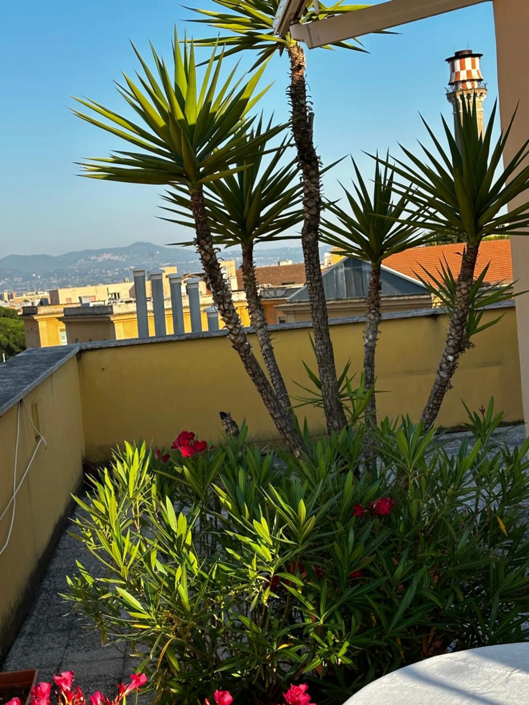 Day in All Comfort Astoria Palace