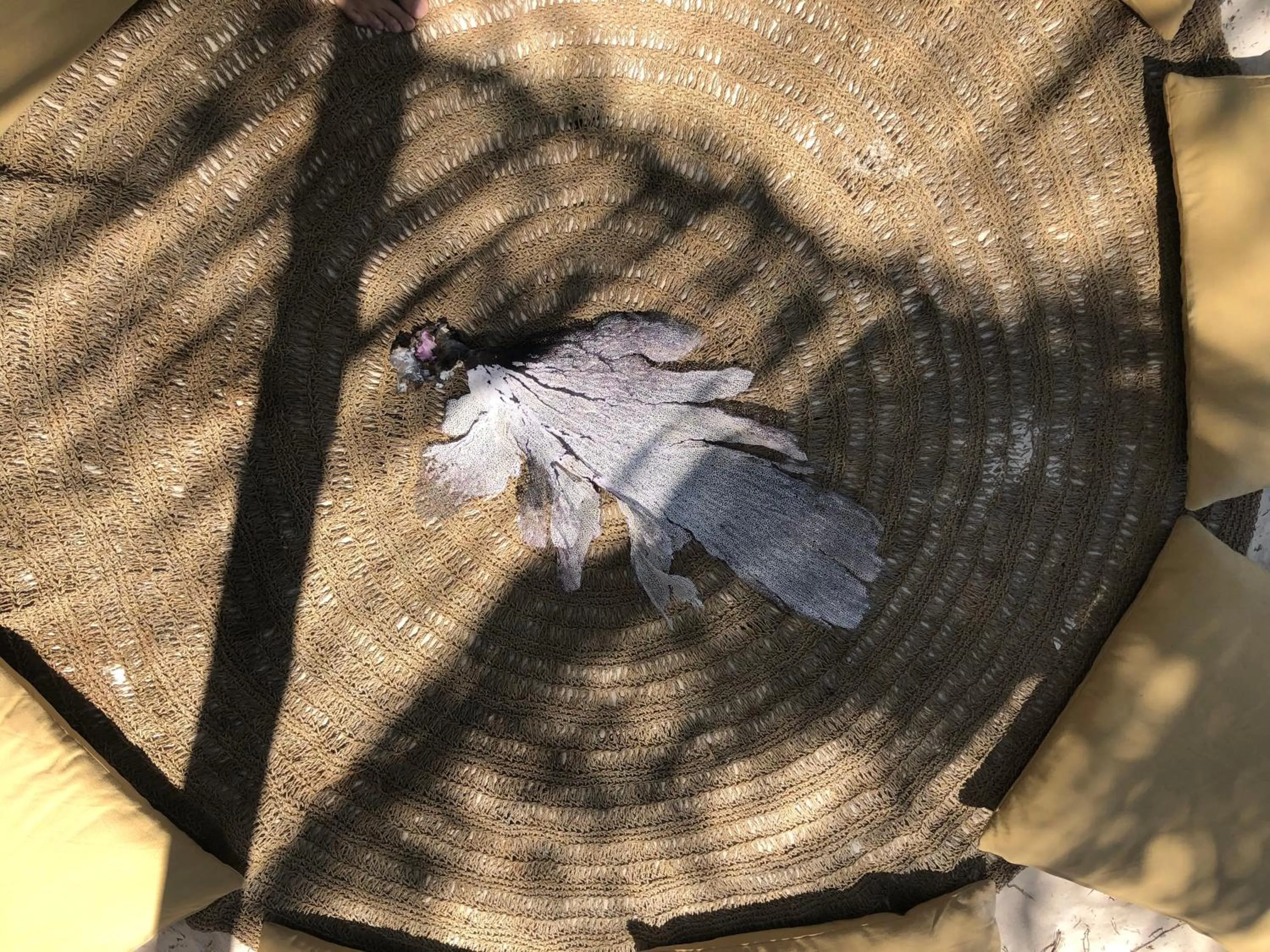Decorative detail in Casa Nalum