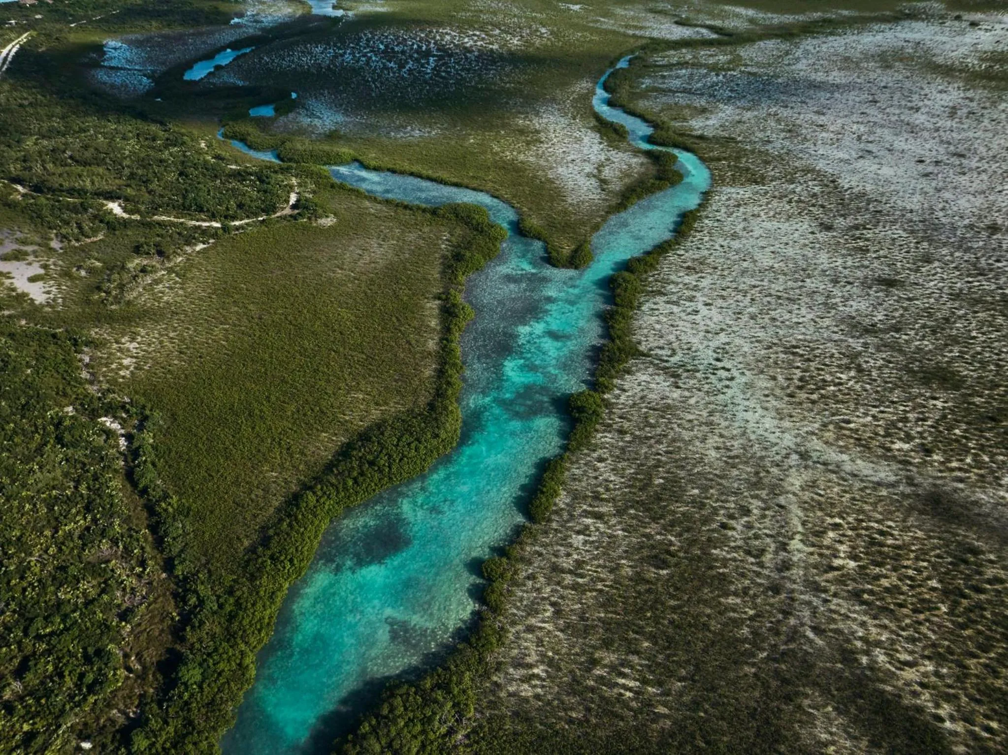 Bird's eye view in COMO Parrot Cay