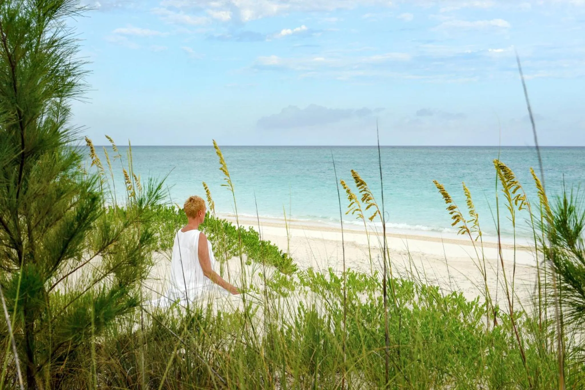 Area and facilities in COMO Parrot Cay