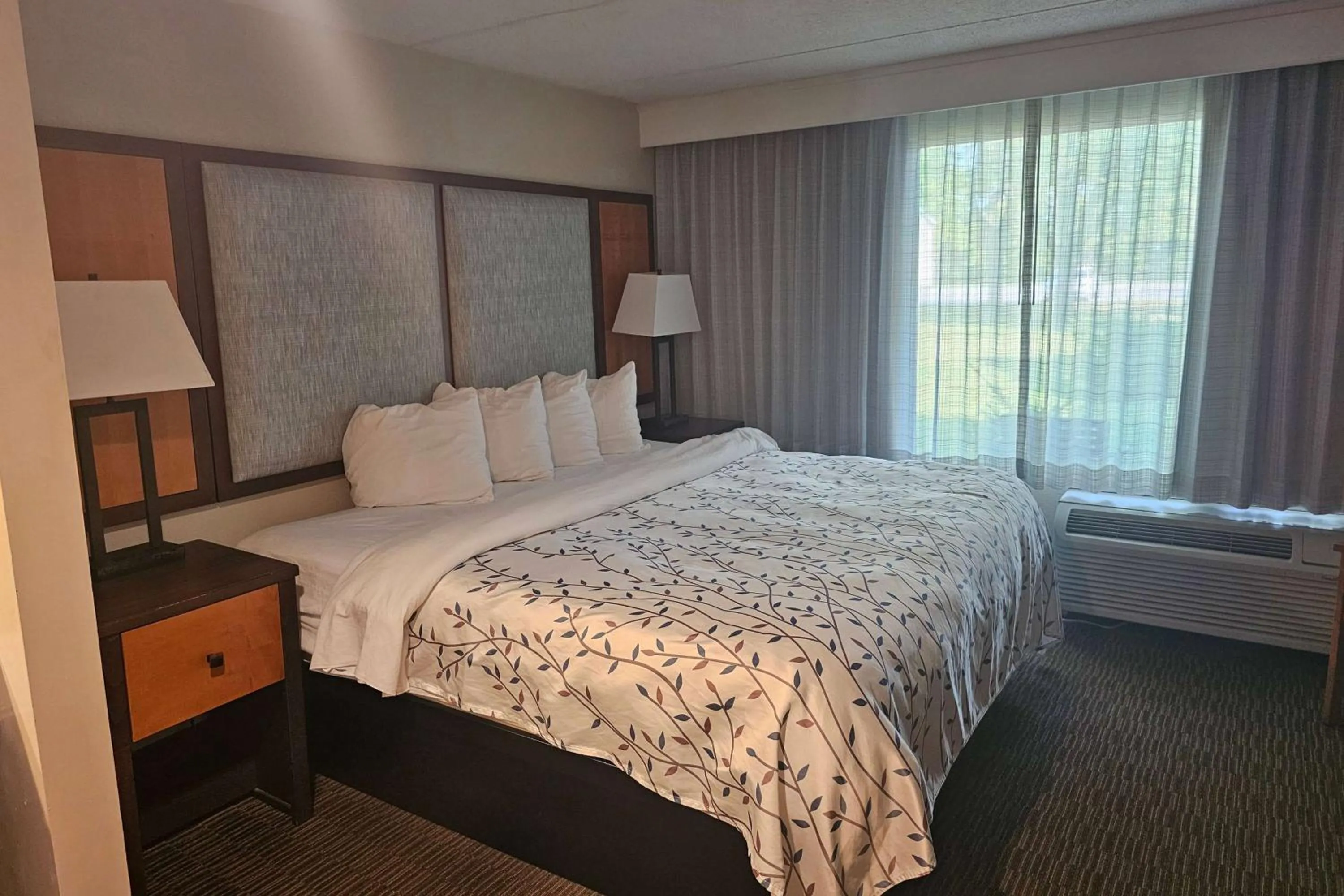 Photo of the whole room, Bed in Americinn by Wyndham Birch Run - Frankenmuth