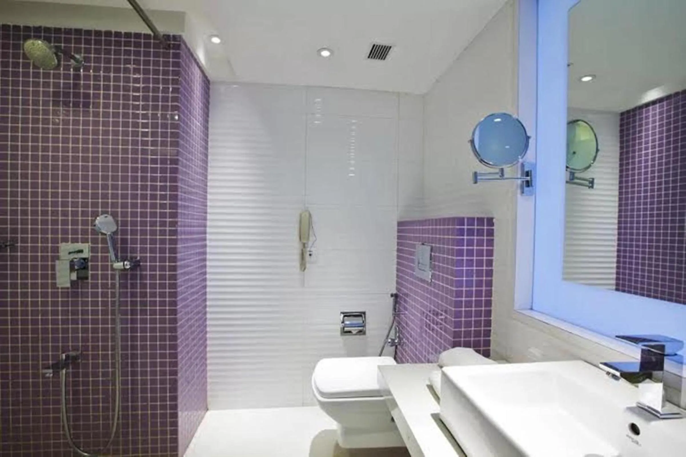 Toilet in Spree Shivai Hotel Pune