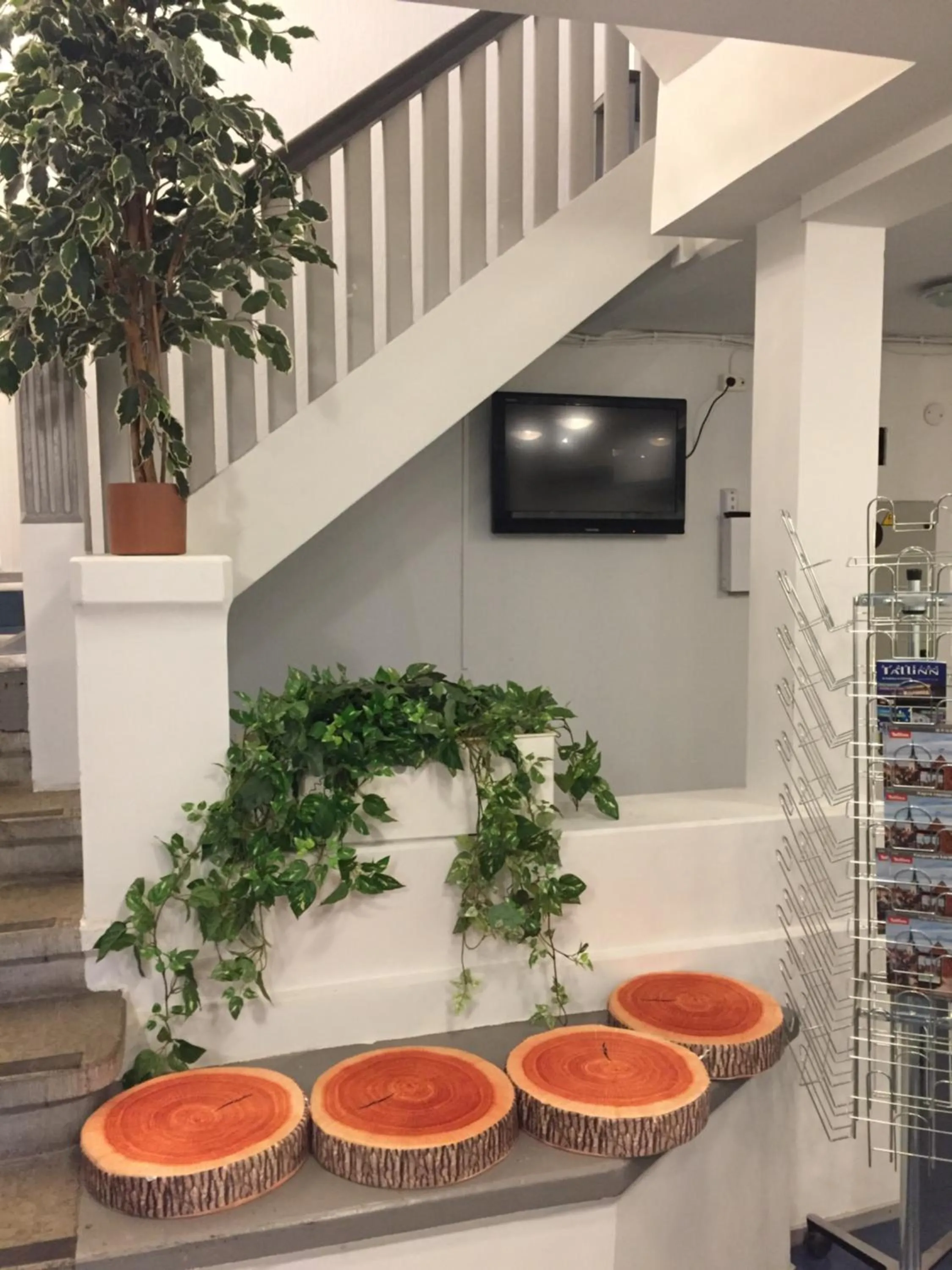 TV and multimedia in Freedom65 Hostel and Caravan