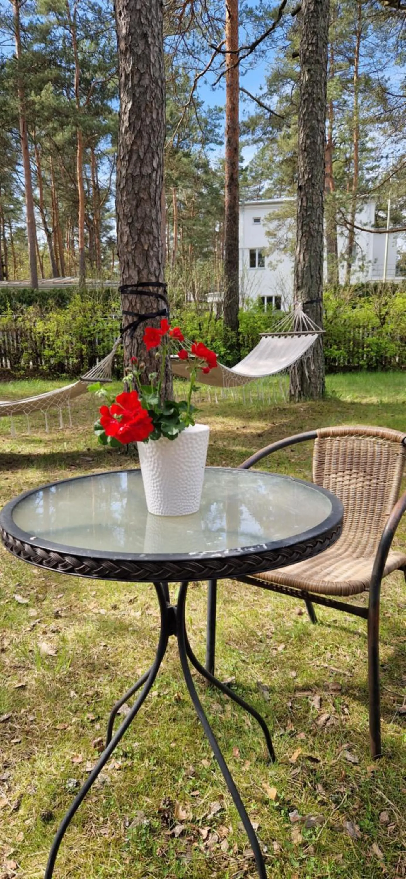 Freedom65 Hostel and Caravan