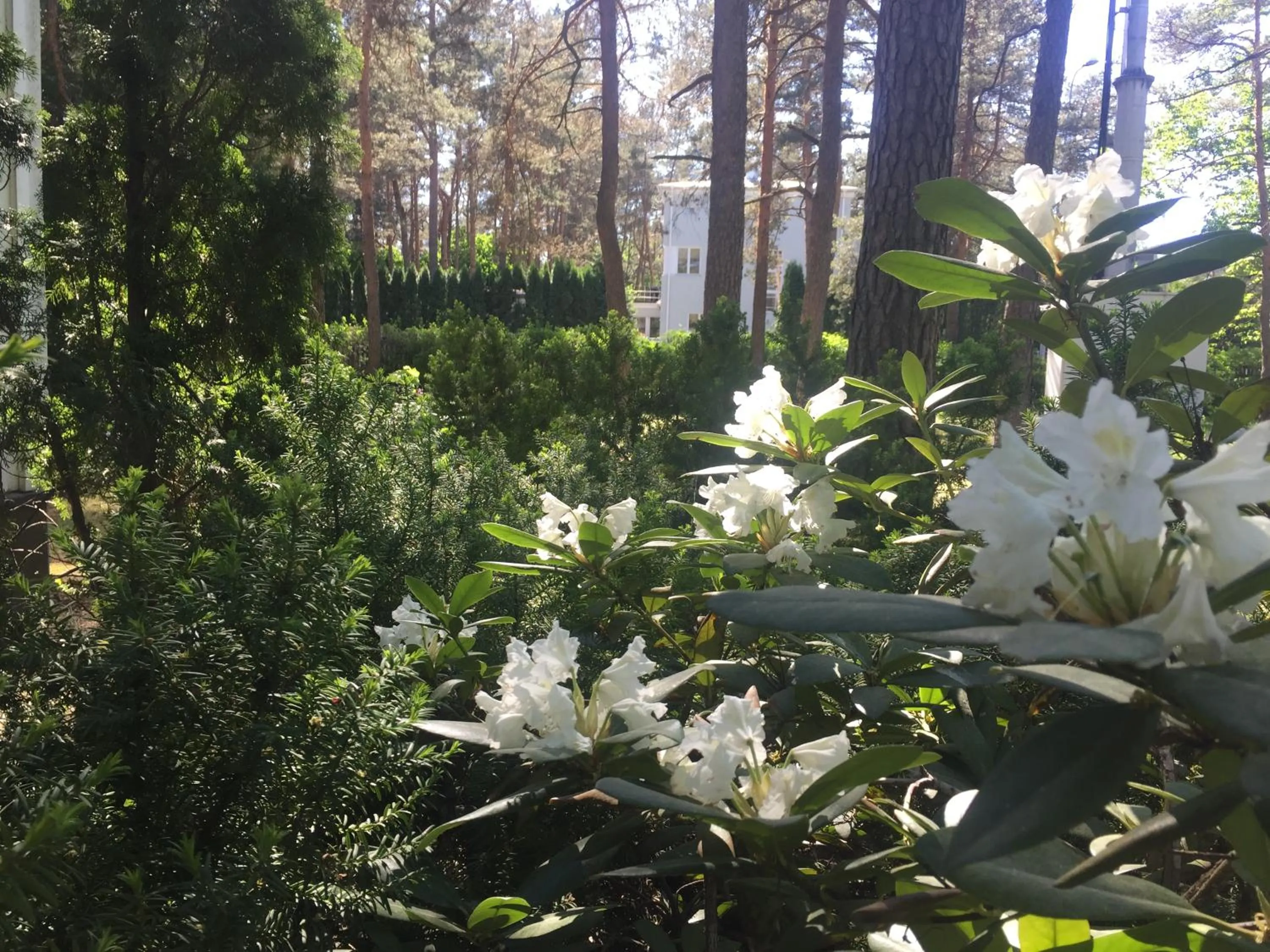 Garden in Freedom65 Hostel and Caravan