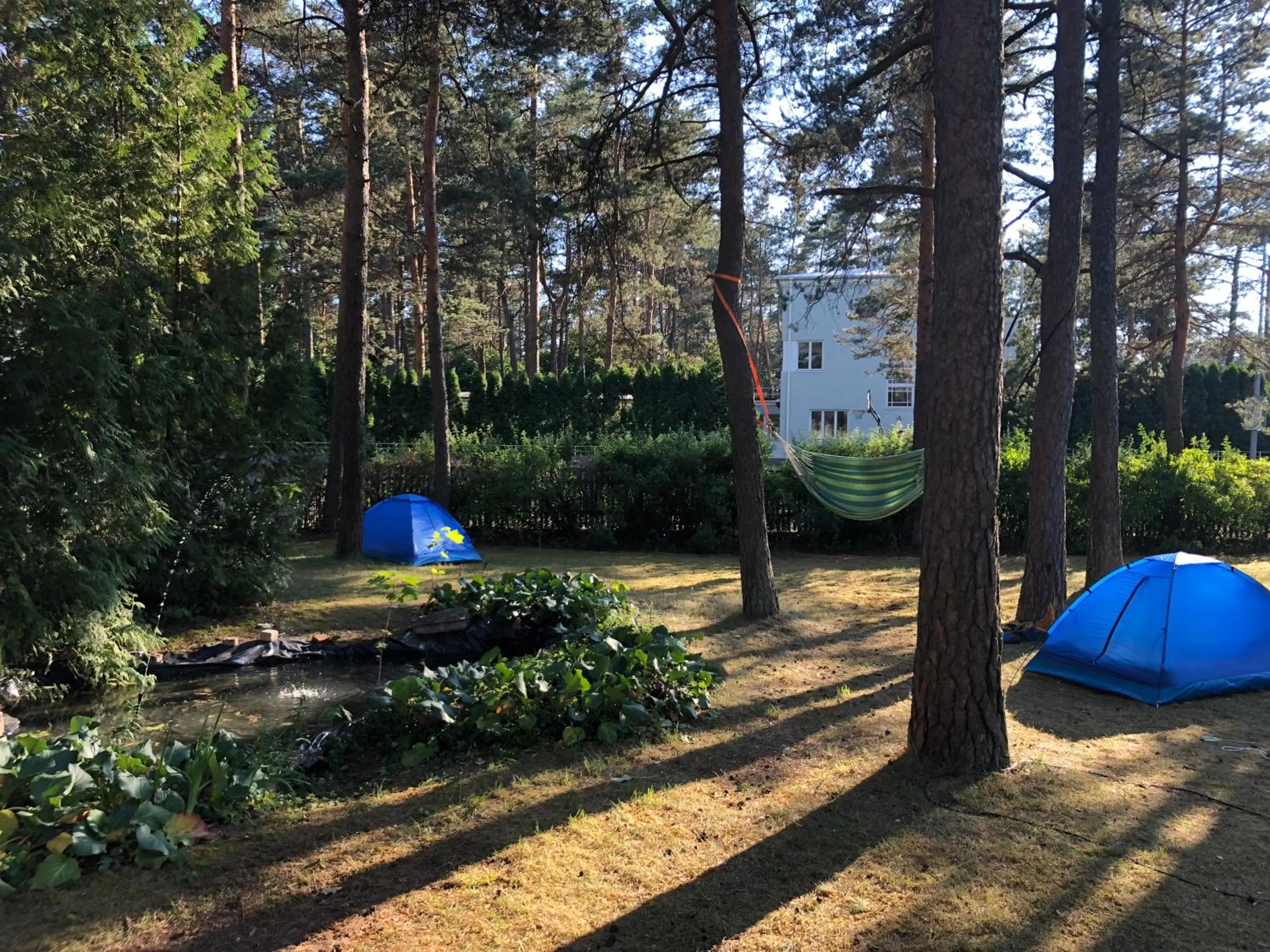 Natural landscape in Freedom65 Hostel and Caravan