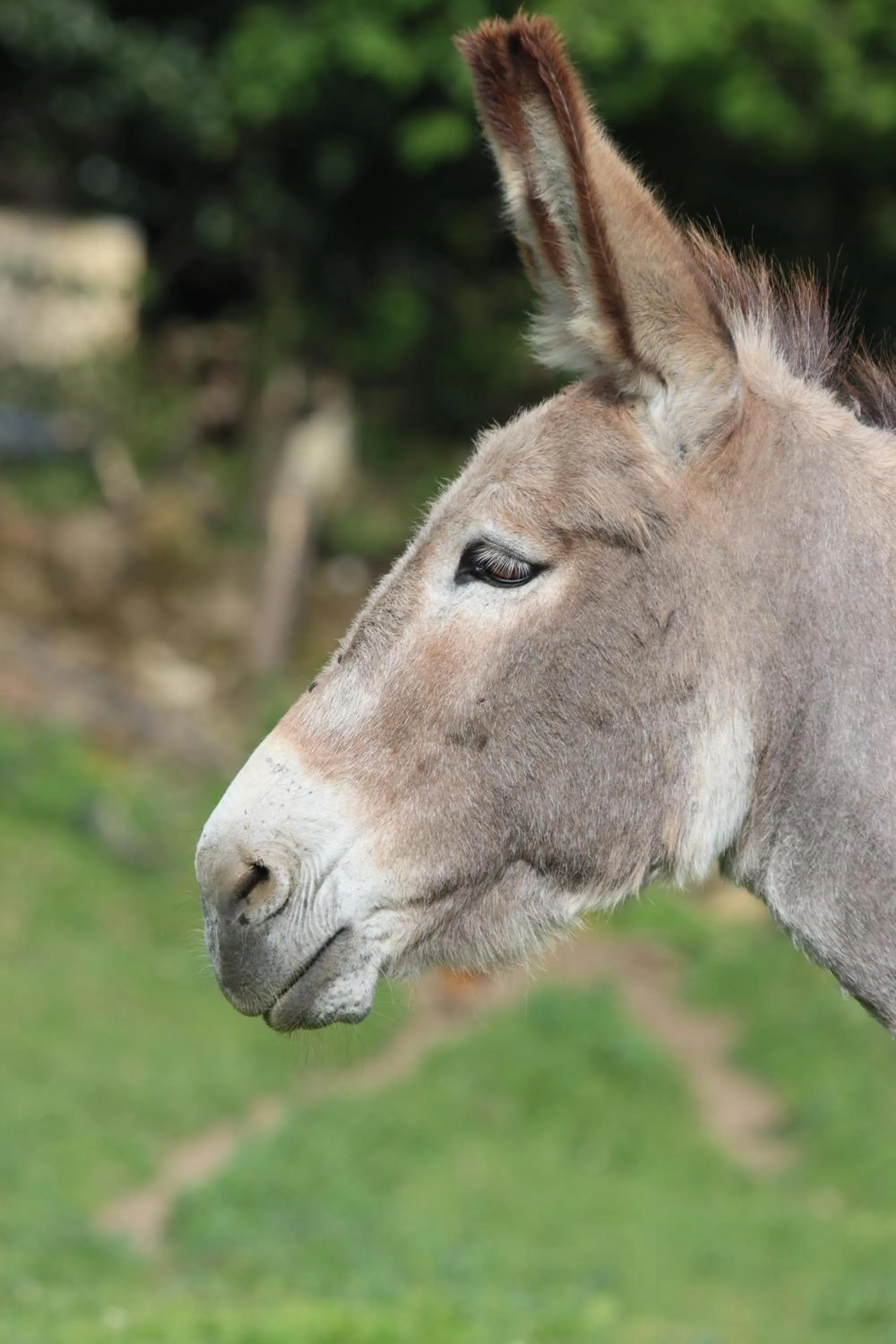 Chambre d'hôtes Le Cascadou