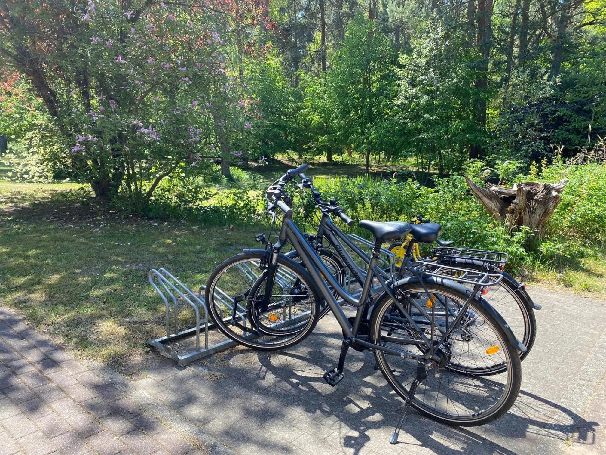 Cycling in Waldhotel