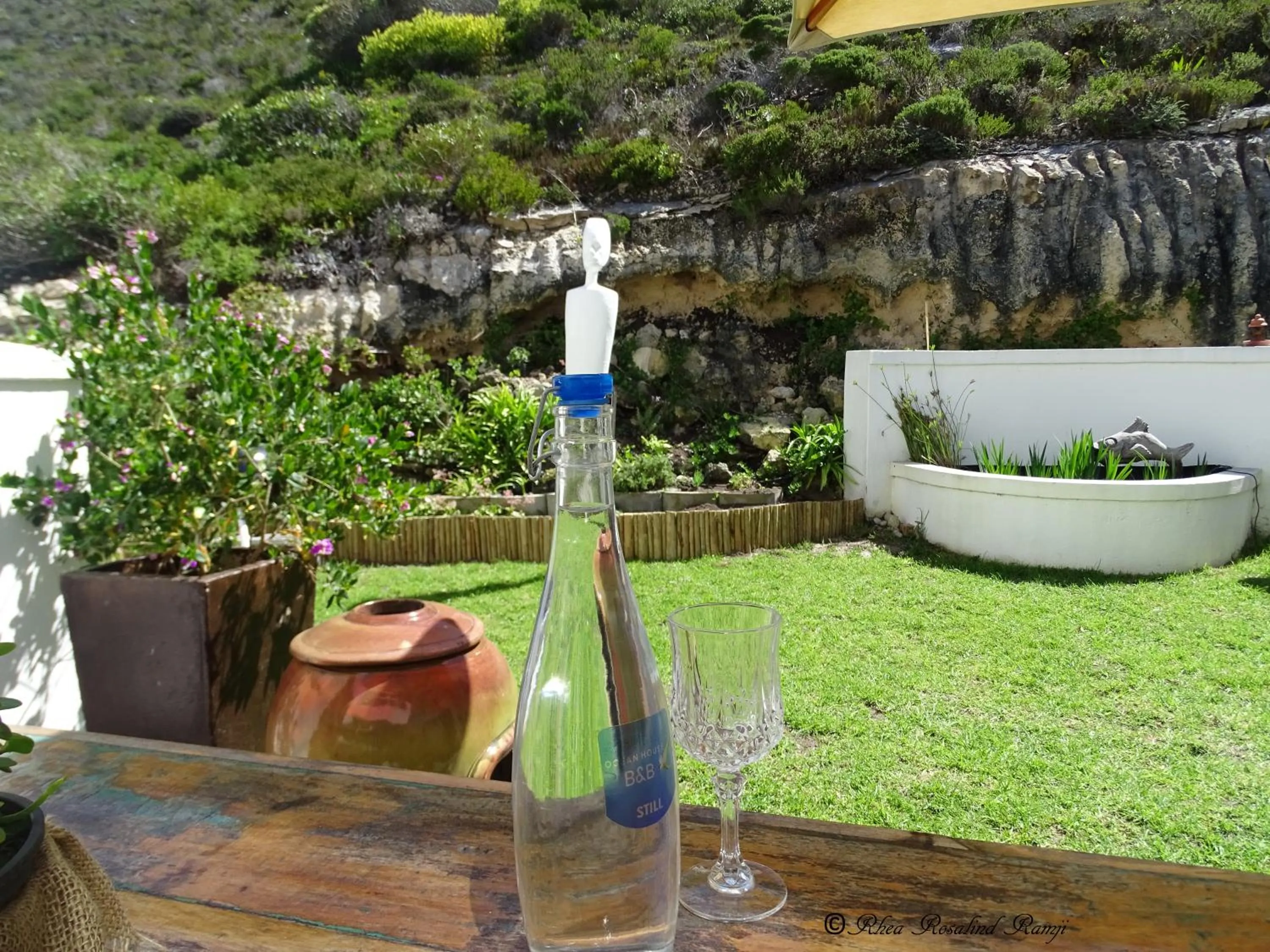 Garden view in Agulhas Ocean House