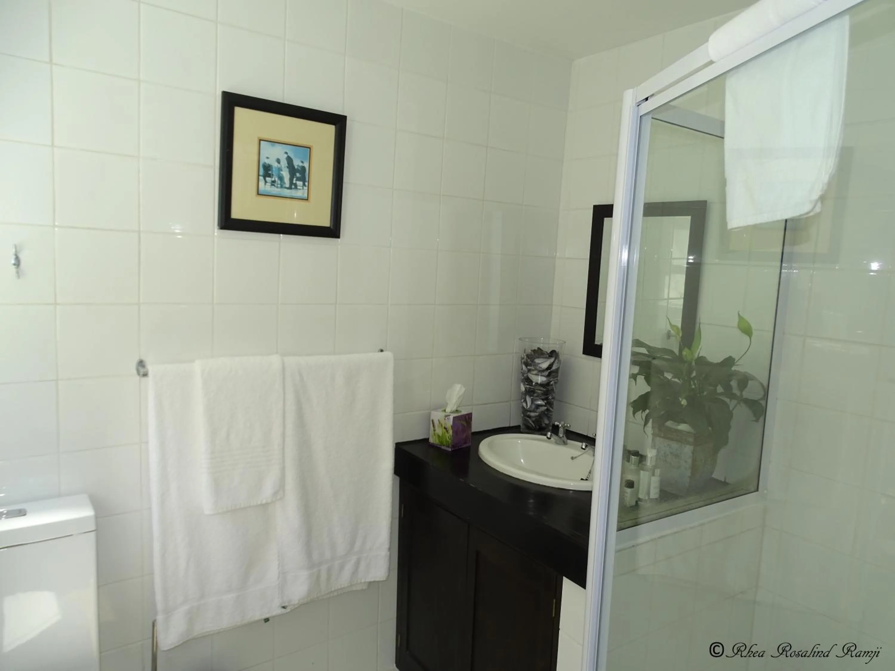 Decorative detail in Agulhas Ocean House