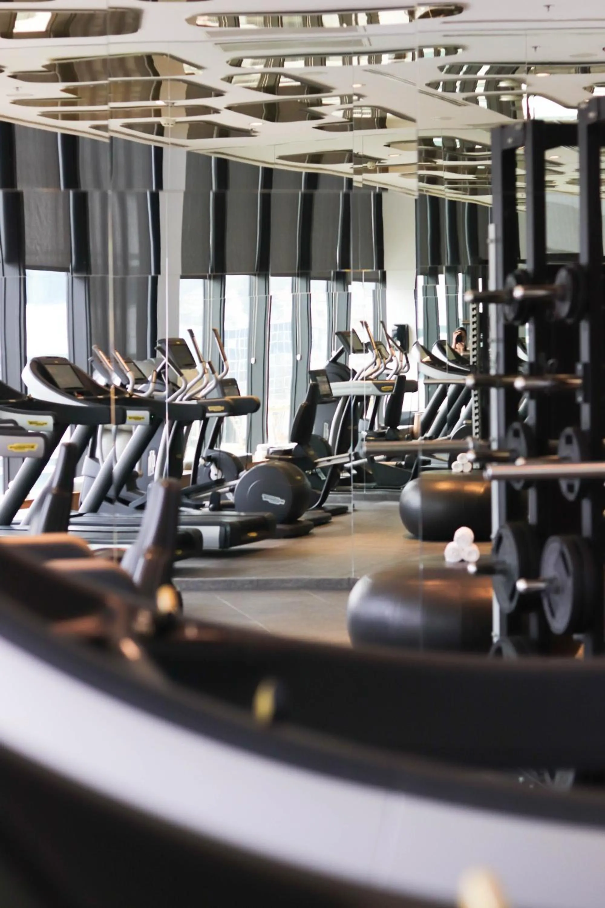 Fitness centre/facilities in Swissotel Sarajevo