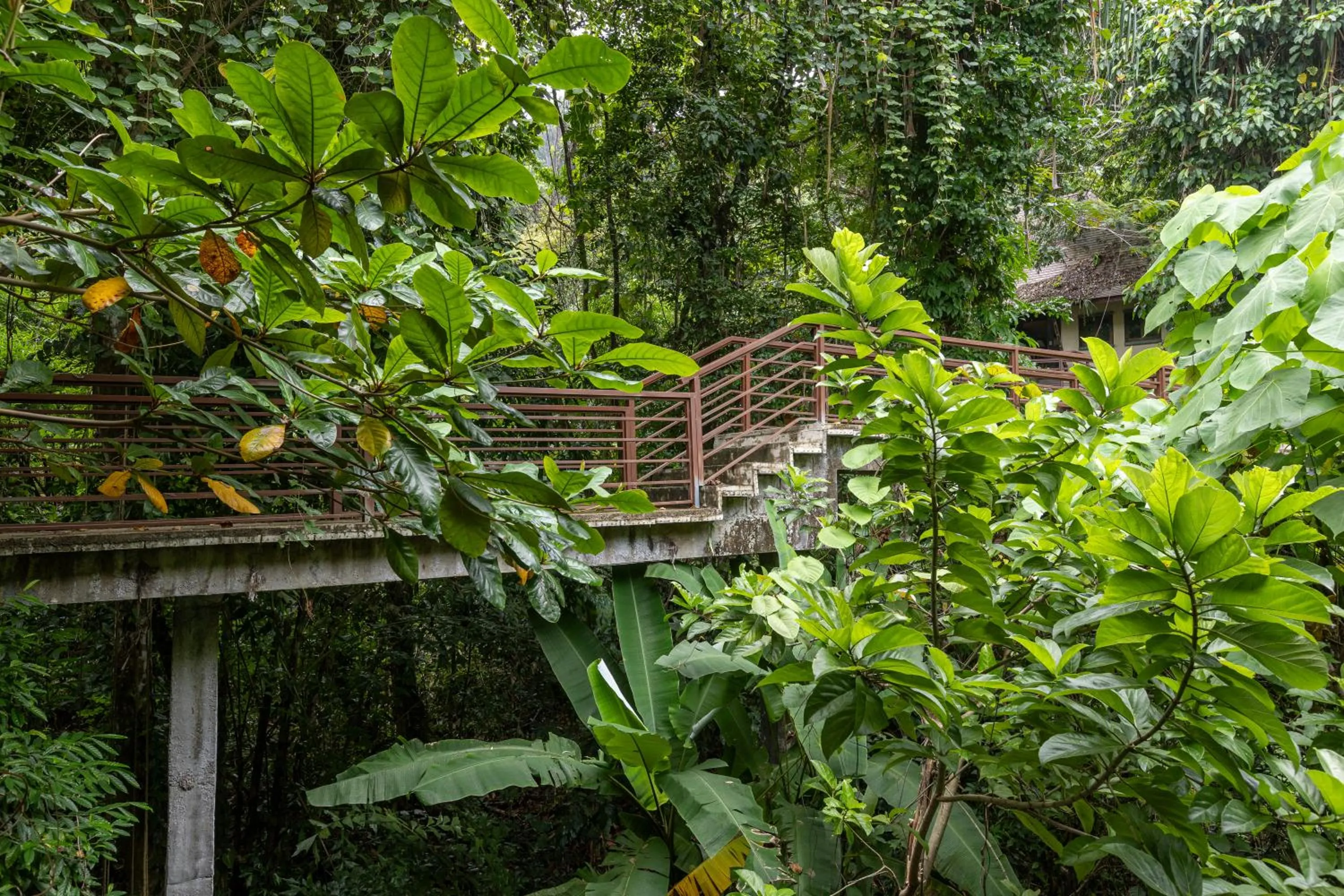 Spring in Khaolak Wanaburee Resort - SHA Extra Plus