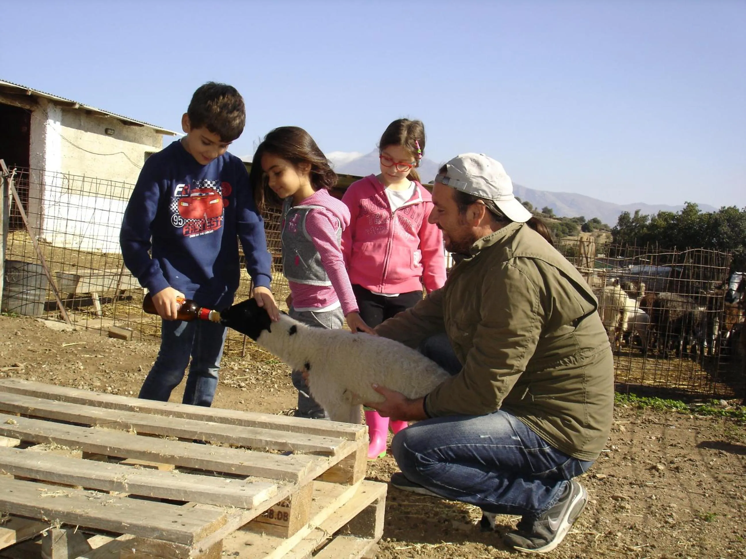 Animals in Ktima Nikola