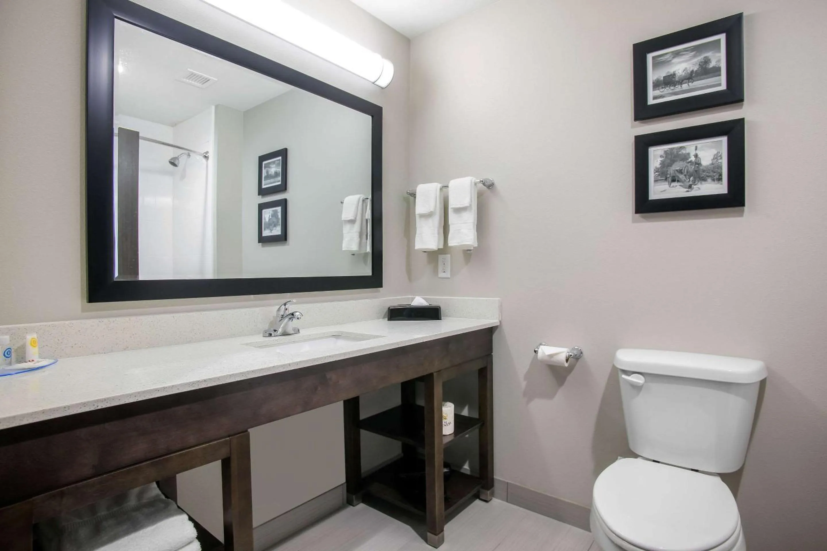 Bathroom in Holiday Inn Express & Suites Tulsa East - Catoosa by IHG