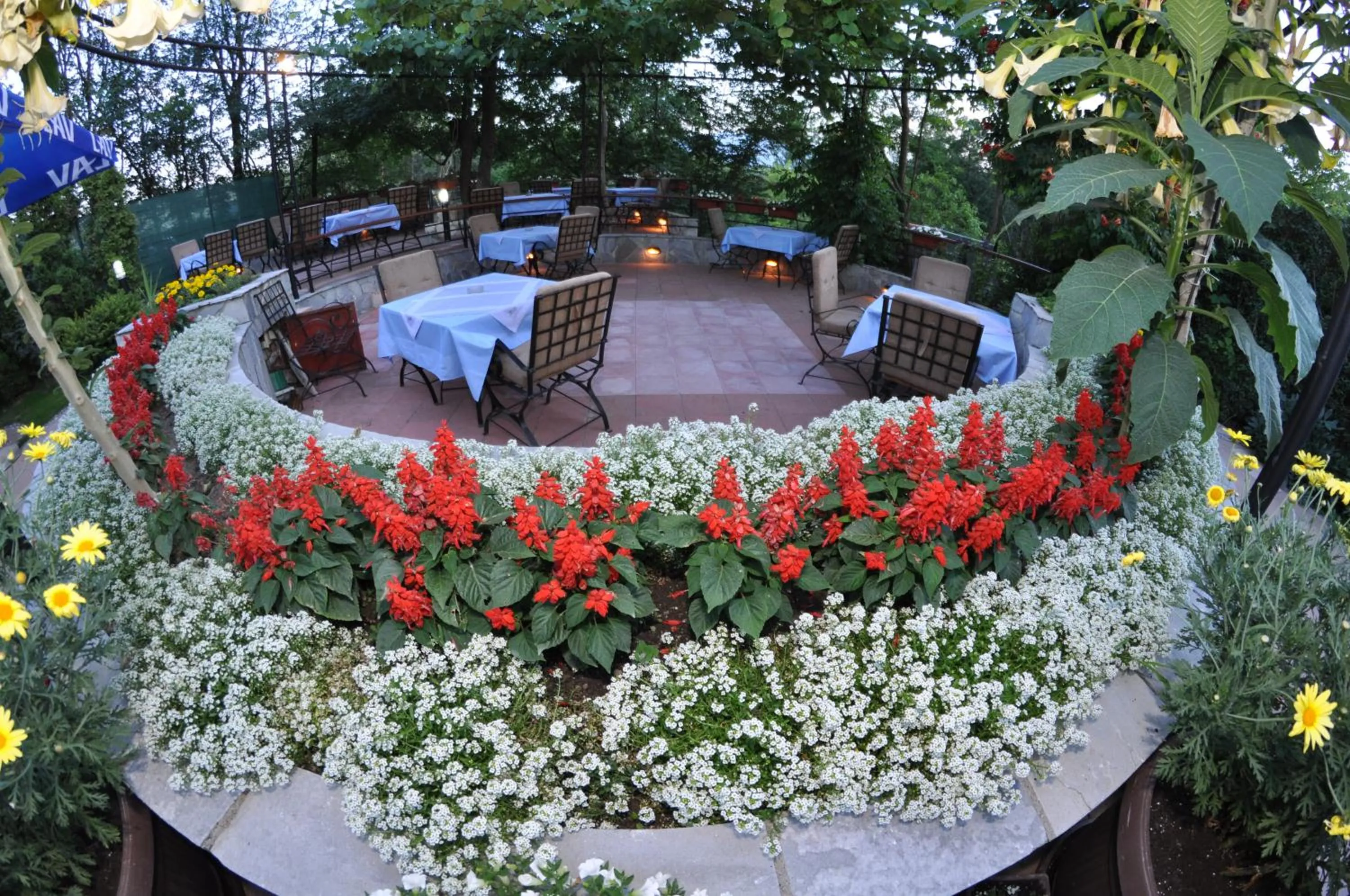 Patio in Hotel Royal