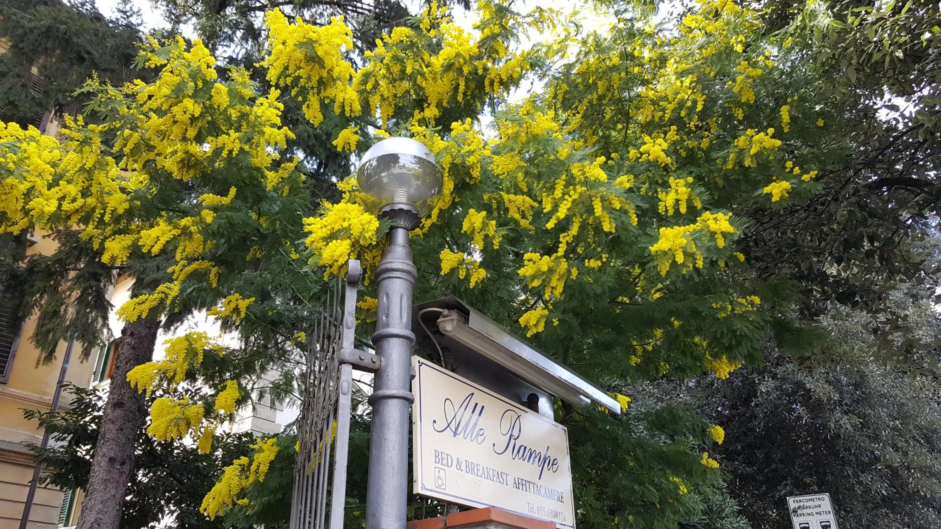 Garden in Villa Alle Rampe