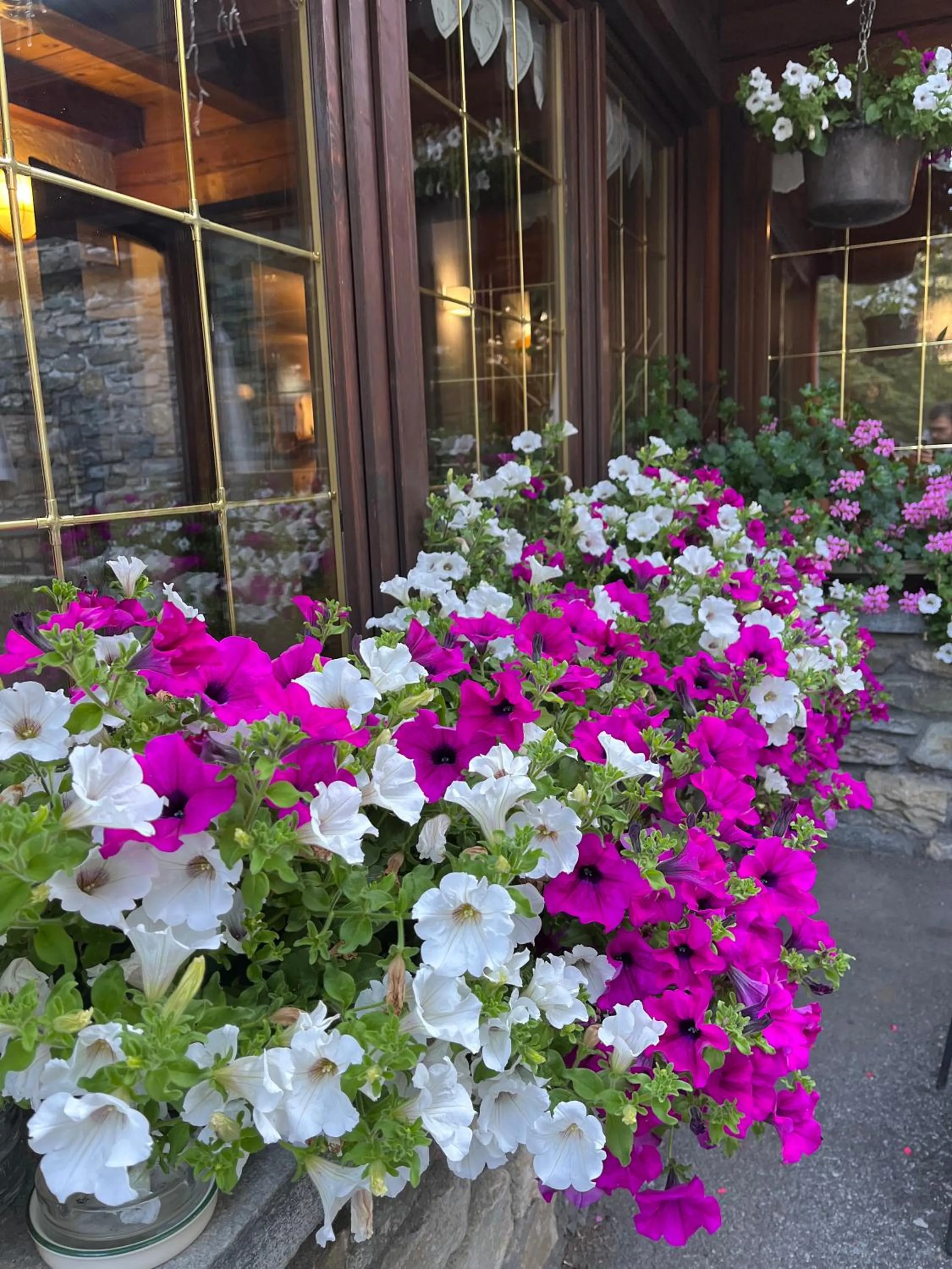 Garden in Hotel Coeur Du Village